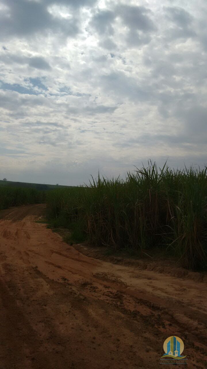 Fazenda em Regente Feijó/São Paulo — Ref M3HSA6 — Imagem 4