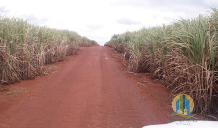 Fazenda em Regente Feijó/São Paulo — Ref M3HSA6 — Imagem 6