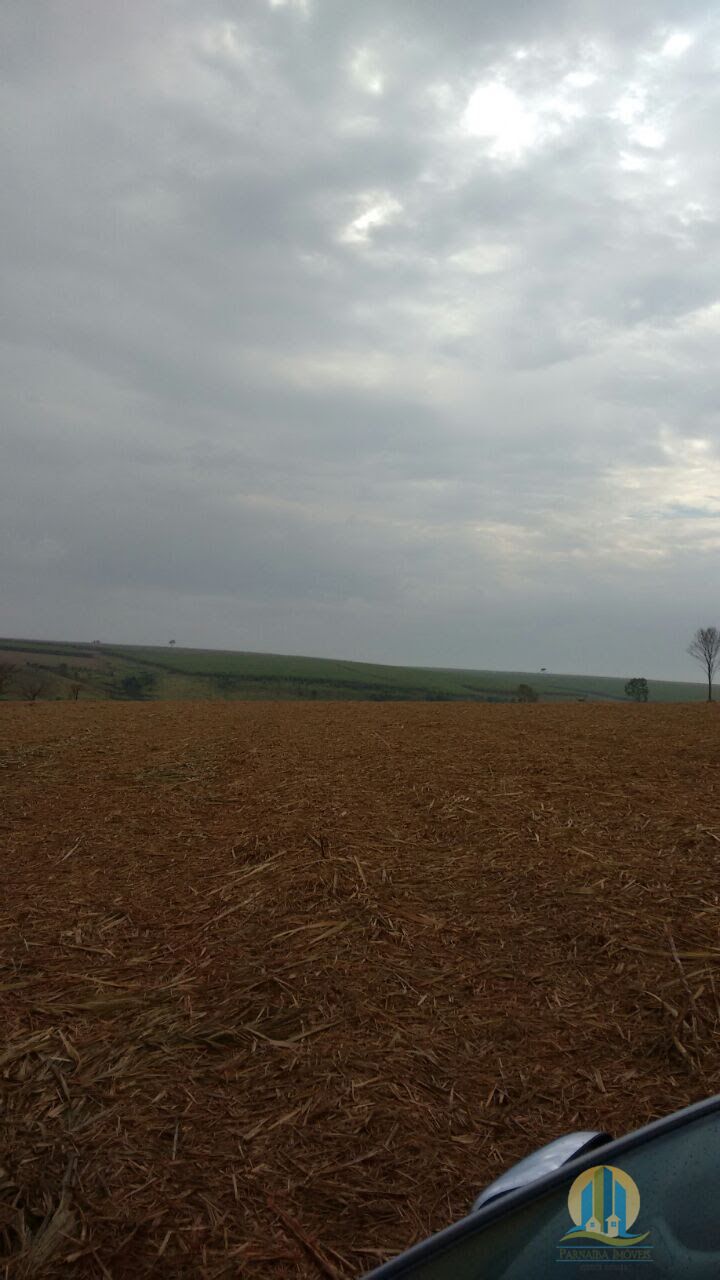 Fazenda em Regente Feijó/São Paulo — Ref M3HSA6 — Imagem 10