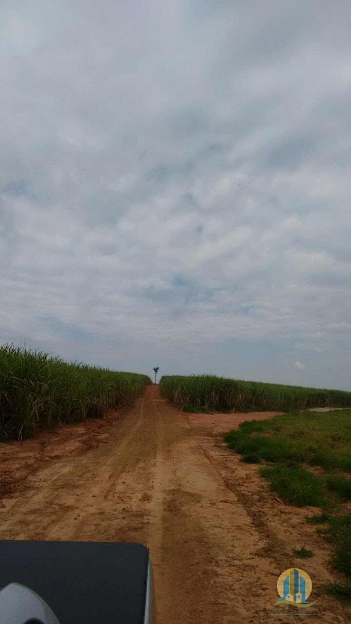 Fazenda em Regente Feijó/São Paulo — Ref M3HSA6 — Imagem 3