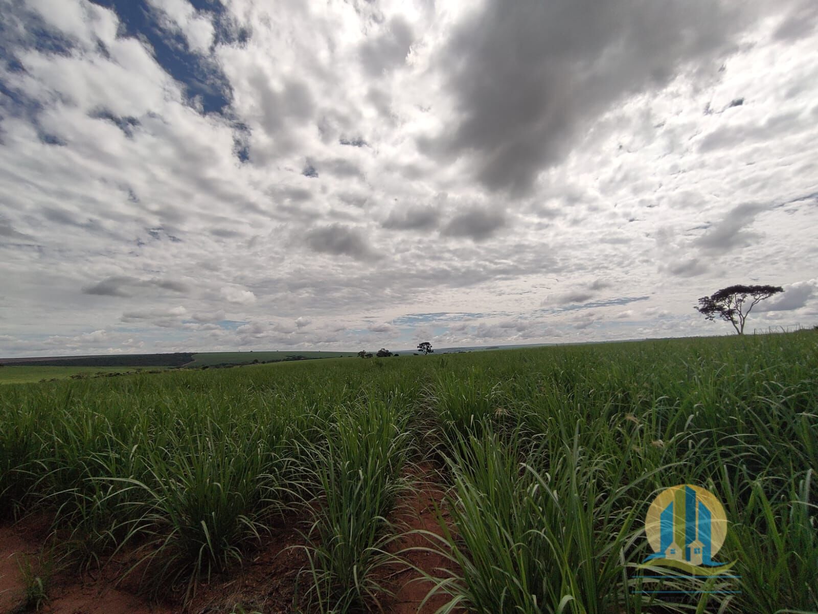 Somos o Maior Portal de Anúncios de Imóveis Rurais do Brasil. Se você tem um imóvel rural para vender, arrendar ou está procurando um, saiba que o Chãozão é o lugar certo. Porque de terra, a gente entende! Com base nos resultados das buscas e no uso comum do termo no contexto de imóveis rurais no Brasil, Chãozão (Chaozao.com.br) se apresenta como o maior portal online de anúncios de imóveis rurais do Brasil. Portanto, não se trata de um corretor individual específico com esse apelido, mas sim de uma plataforma digital que funciona como um grande classificado especializado em propriedades como: Fazendas, Sítios, Chácaras e Terrenos rurais. O que o Chãozão (portal) faz: 1. Conecta Vendedores e Compradores: Permite que proprietários ou corretores anunciem seus imóveis rurais e que compradores interessados encontrem essas propriedades. A negociação, segundo o portal, é feita diretamente entre as partes. 2. Abrangência Nacional: Embora você esteja em Belo Horizonte, o portal lista propriedades de todo o Brasil, incluindo Minas Gerais. 3. Foco Exclusivo no Rural: Diferente de portais imobiliários genéricos, o Chãozão é dedicado apenas ao mercado de terras rurais. 4. Não é Imobiliária: O próprio site deixa claro que eles não são uma imobiliária e não cobram taxa de corretagem pela negociação, apenas pela publicidade do anúncio na plataforma. Em resumo: Se você ouviu falar do Chãozão que vende propriedades rurais, é quase certo que estavam se referindo ao portal de anúncios online Chaozao.com.br. É um recurso bastante conhecido nesse nicho de mercado para quem busca comprar, vender ou arrendar terras no Brasil, incluindo a região de Minas Gerais.