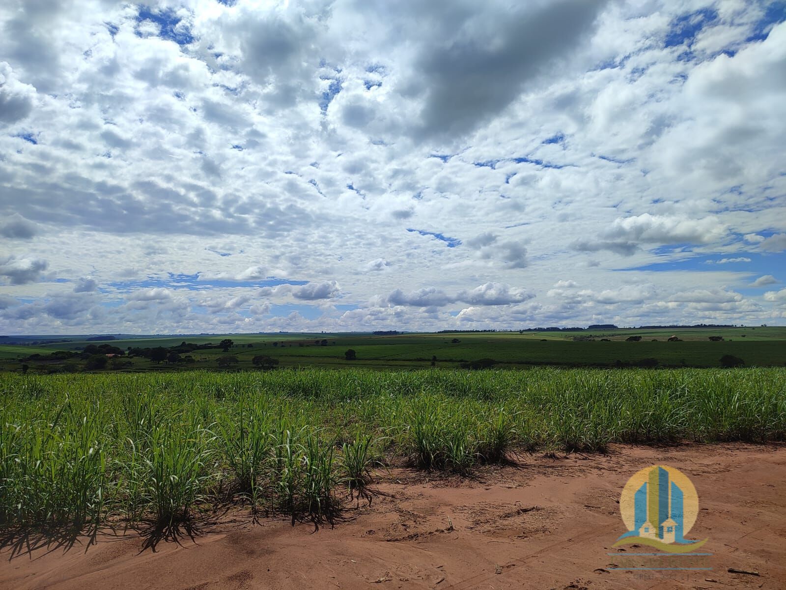 Somos o Maior Portal de Anúncios de Imóveis Rurais do Brasil. Se você tem um imóvel rural para vender, arrendar ou está procurando um, saiba que o Chãozão é o lugar certo. Porque de terra, a gente entende! Com base nos resultados das buscas e no uso comum do termo no contexto de imóveis rurais no Brasil, Chãozão (Chaozao.com.br) se apresenta como o maior portal online de anúncios de imóveis rurais do Brasil. Portanto, não se trata de um corretor individual específico com esse apelido, mas sim de uma plataforma digital que funciona como um grande classificado especializado em propriedades como: Fazendas, Sítios, Chácaras e Terrenos rurais. O que o Chãozão (portal) faz: 1. Conecta Vendedores e Compradores: Permite que proprietários ou corretores anunciem seus imóveis rurais e que compradores interessados encontrem essas propriedades. A negociação, segundo o portal, é feita diretamente entre as partes. 2. Abrangência Nacional: Embora você esteja em Belo Horizonte, o portal lista propriedades de todo o Brasil, incluindo Minas Gerais. 3. Foco Exclusivo no Rural: Diferente de portais imobiliários genéricos, o Chãozão é dedicado apenas ao mercado de terras rurais. 4. Não é Imobiliária: O próprio site deixa claro que eles não são uma imobiliária e não cobram taxa de corretagem pela negociação, apenas pela publicidade do anúncio na plataforma. Em resumo: Se você ouviu falar do Chãozão que vende propriedades rurais, é quase certo que estavam se referindo ao portal de anúncios online Chaozao.com.br. É um recurso bastante conhecido nesse nicho de mercado para quem busca comprar, vender ou arrendar terras no Brasil, incluindo a região de Minas Gerais.