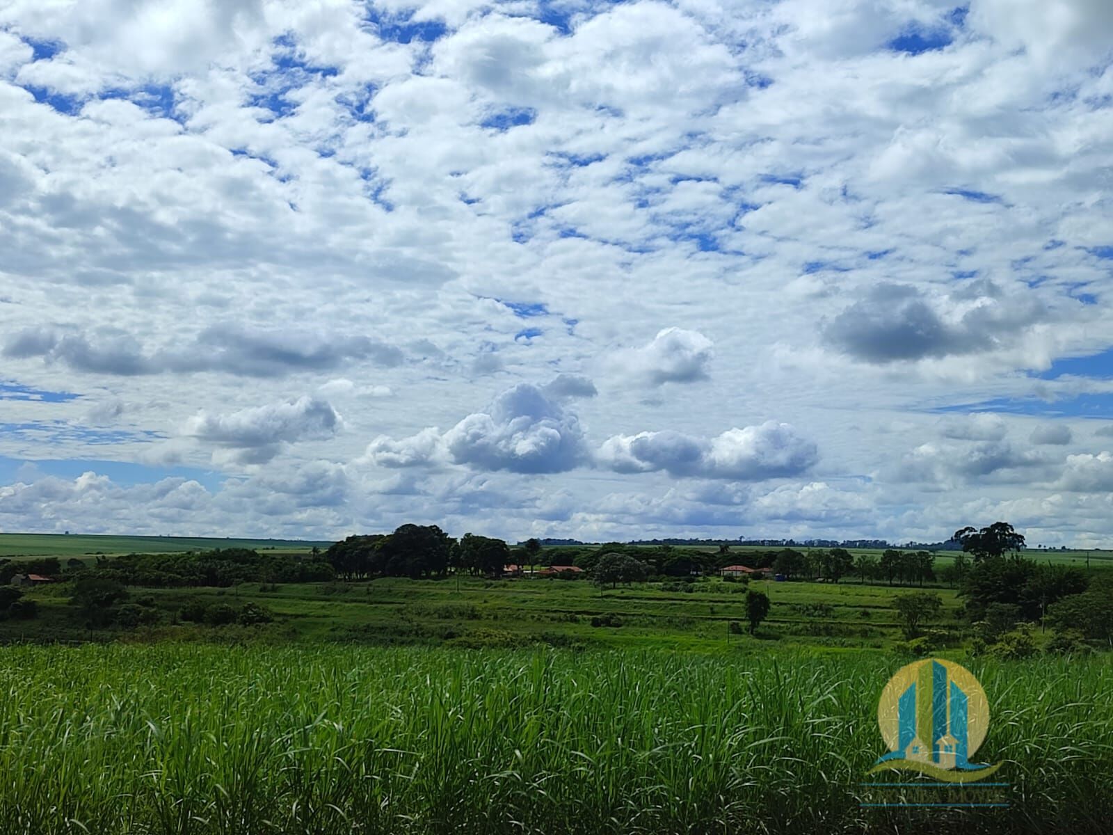 Somos o Maior Portal de Anúncios de Imóveis Rurais do Brasil. Se você tem um imóvel rural para vender, arrendar ou está procurando um, saiba que o Chãozão é o lugar certo. Porque de terra, a gente entende! Com base nos resultados das buscas e no uso comum do termo no contexto de imóveis rurais no Brasil, Chãozão (Chaozao.com.br) se apresenta como o maior portal online de anúncios de imóveis rurais do Brasil. Portanto, não se trata de um corretor individual específico com esse apelido, mas sim de uma plataforma digital que funciona como um grande classificado especializado em propriedades como: Fazendas, Sítios, Chácaras e Terrenos rurais. O que o Chãozão (portal) faz: 1. Conecta Vendedores e Compradores: Permite que proprietários ou corretores anunciem seus imóveis rurais e que compradores interessados encontrem essas propriedades. A negociação, segundo o portal, é feita diretamente entre as partes. 2. Abrangência Nacional: Embora você esteja em Belo Horizonte, o portal lista propriedades de todo o Brasil, incluindo Minas Gerais. 3. Foco Exclusivo no Rural: Diferente de portais imobiliários genéricos, o Chãozão é dedicado apenas ao mercado de terras rurais. 4. Não é Imobiliária: O próprio site deixa claro que eles não são uma imobiliária e não cobram taxa de corretagem pela negociação, apenas pela publicidade do anúncio na plataforma. Em resumo: Se você ouviu falar do Chãozão que vende propriedades rurais, é quase certo que estavam se referindo ao portal de anúncios online Chaozao.com.br. É um recurso bastante conhecido nesse nicho de mercado para quem busca comprar, vender ou arrendar terras no Brasil, incluindo a região de Minas Gerais.