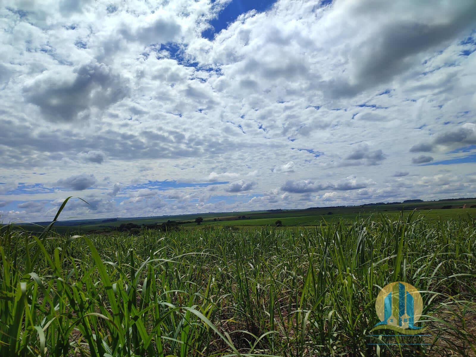 Somos o Maior Portal de Anúncios de Imóveis Rurais do Brasil. Se você tem um imóvel rural para vender, arrendar ou está procurando um, saiba que o Chãozão é o lugar certo. Porque de terra, a gente entende! Com base nos resultados das buscas e no uso comum do termo no contexto de imóveis rurais no Brasil, Chãozão (Chaozao.com.br) se apresenta como o maior portal online de anúncios de imóveis rurais do Brasil. Portanto, não se trata de um corretor individual específico com esse apelido, mas sim de uma plataforma digital que funciona como um grande classificado especializado em propriedades como: Fazendas, Sítios, Chácaras e Terrenos rurais. O que o Chãozão (portal) faz: 1. Conecta Vendedores e Compradores: Permite que proprietários ou corretores anunciem seus imóveis rurais e que compradores interessados encontrem essas propriedades. A negociação, segundo o portal, é feita diretamente entre as partes. 2. Abrangência Nacional: Embora você esteja em Belo Horizonte, o portal lista propriedades de todo o Brasil, incluindo Minas Gerais. 3. Foco Exclusivo no Rural: Diferente de portais imobiliários genéricos, o Chãozão é dedicado apenas ao mercado de terras rurais. 4. Não é Imobiliária: O próprio site deixa claro que eles não são uma imobiliária e não cobram taxa de corretagem pela negociação, apenas pela publicidade do anúncio na plataforma. Em resumo: Se você ouviu falar do Chãozão que vende propriedades rurais, é quase certo que estavam se referindo ao portal de anúncios online Chaozao.com.br. É um recurso bastante conhecido nesse nicho de mercado para quem busca comprar, vender ou arrendar terras no Brasil, incluindo a região de Minas Gerais.