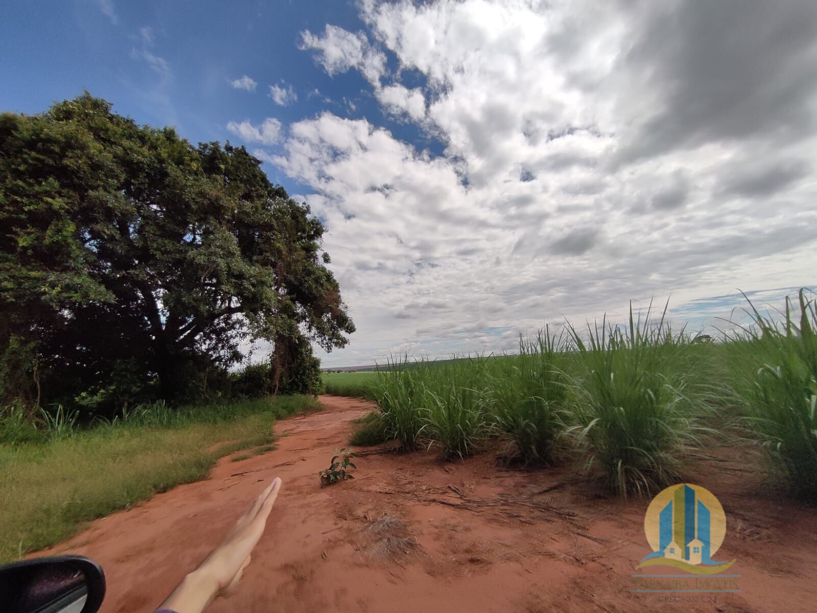 Somos o Maior Portal de Anúncios de Imóveis Rurais do Brasil. Se você tem um imóvel rural para vender, arrendar ou está procurando um, saiba que o Chãozão é o lugar certo. Porque de terra, a gente entende! Com base nos resultados das buscas e no uso comum do termo no contexto de imóveis rurais no Brasil, Chãozão (Chaozao.com.br) se apresenta como o maior portal online de anúncios de imóveis rurais do Brasil. Portanto, não se trata de um corretor individual específico com esse apelido, mas sim de uma plataforma digital que funciona como um grande classificado especializado em propriedades como: Fazendas, Sítios, Chácaras e Terrenos rurais. O que o Chãozão (portal) faz: 1. Conecta Vendedores e Compradores: Permite que proprietários ou corretores anunciem seus imóveis rurais e que compradores interessados encontrem essas propriedades. A negociação, segundo o portal, é feita diretamente entre as partes. 2. Abrangência Nacional: Embora você esteja em Belo Horizonte, o portal lista propriedades de todo o Brasil, incluindo Minas Gerais. 3. Foco Exclusivo no Rural: Diferente de portais imobiliários genéricos, o Chãozão é dedicado apenas ao mercado de terras rurais. 4. Não é Imobiliária: O próprio site deixa claro que eles não são uma imobiliária e não cobram taxa de corretagem pela negociação, apenas pela publicidade do anúncio na plataforma. Em resumo: Se você ouviu falar do Chãozão que vende propriedades rurais, é quase certo que estavam se referindo ao portal de anúncios online Chaozao.com.br. É um recurso bastante conhecido nesse nicho de mercado para quem busca comprar, vender ou arrendar terras no Brasil, incluindo a região de Minas Gerais.