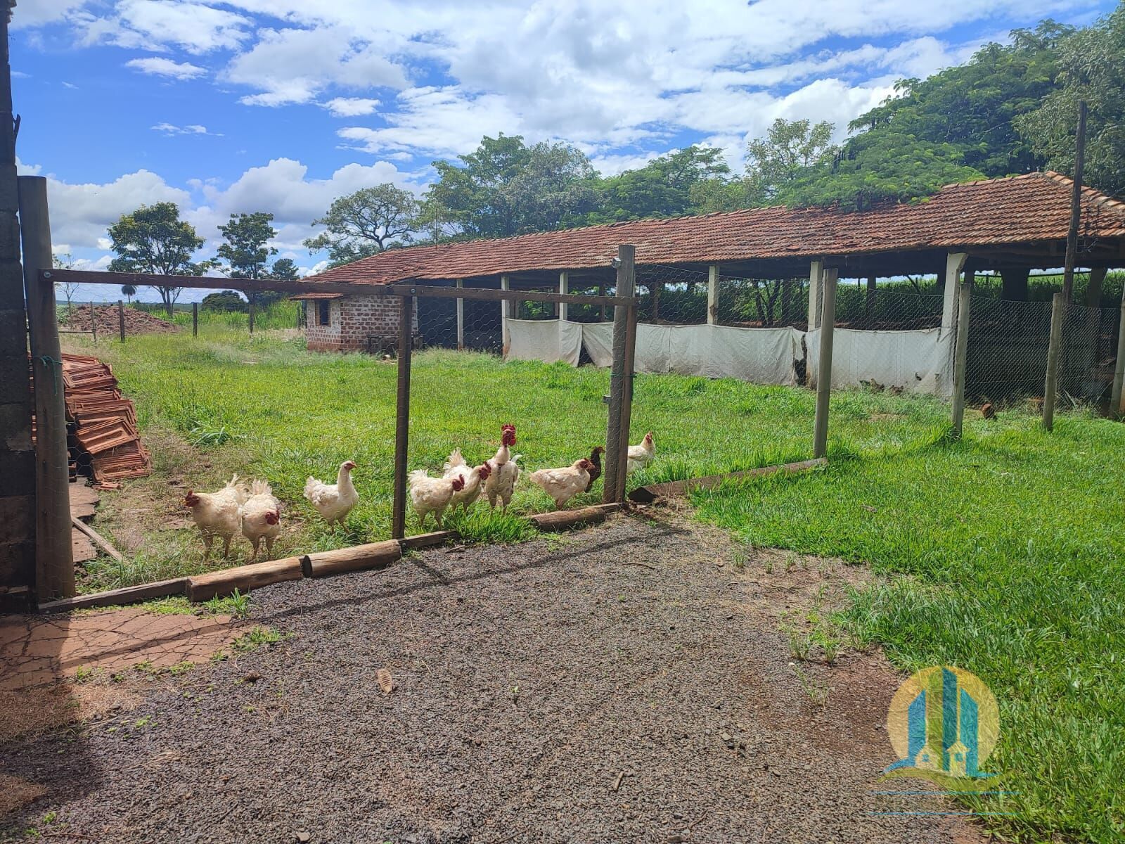 Somos o Maior Portal de Anúncios de Imóveis Rurais do Brasil. Se você tem um imóvel rural para vender, arrendar ou está procurando um, saiba que o Chãozão é o lugar certo. Porque de terra, a gente entende! Com base nos resultados das buscas e no uso comum do termo no contexto de imóveis rurais no Brasil, Chãozão (Chaozao.com.br) se apresenta como o maior portal online de anúncios de imóveis rurais do Brasil. Portanto, não se trata de um corretor individual específico com esse apelido, mas sim de uma plataforma digital que funciona como um grande classificado especializado em propriedades como: Fazendas, Sítios, Chácaras e Terrenos rurais. O que o Chãozão (portal) faz: 1. Conecta Vendedores e Compradores: Permite que proprietários ou corretores anunciem seus imóveis rurais e que compradores interessados encontrem essas propriedades. A negociação, segundo o portal, é feita diretamente entre as partes. 2. Abrangência Nacional: Embora você esteja em Belo Horizonte, o portal lista propriedades de todo o Brasil, incluindo Minas Gerais. 3. Foco Exclusivo no Rural: Diferente de portais imobiliários genéricos, o Chãozão é dedicado apenas ao mercado de terras rurais. 4. Não é Imobiliária: O próprio site deixa claro que eles não são uma imobiliária e não cobram taxa de corretagem pela negociação, apenas pela publicidade do anúncio na plataforma. Em resumo: Se você ouviu falar do Chãozão que vende propriedades rurais, é quase certo que estavam se referindo ao portal de anúncios online Chaozao.com.br. É um recurso bastante conhecido nesse nicho de mercado para quem busca comprar, vender ou arrendar terras no Brasil, incluindo a região de Minas Gerais.
