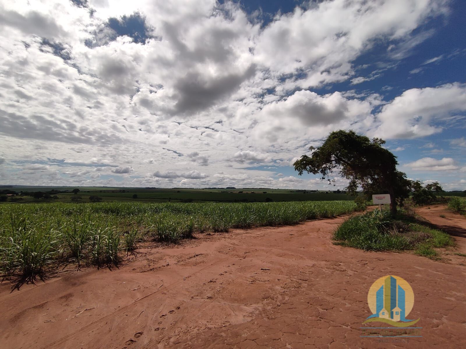 Somos o Maior Portal de Anúncios de Imóveis Rurais do Brasil. Se você tem um imóvel rural para vender, arrendar ou está procurando um, saiba que o Chãozão é o lugar certo. Porque de terra, a gente entende! Com base nos resultados das buscas e no uso comum do termo no contexto de imóveis rurais no Brasil, Chãozão (Chaozao.com.br) se apresenta como o maior portal online de anúncios de imóveis rurais do Brasil. Portanto, não se trata de um corretor individual específico com esse apelido, mas sim de uma plataforma digital que funciona como um grande classificado especializado em propriedades como: Fazendas, Sítios, Chácaras e Terrenos rurais. O que o Chãozão (portal) faz: 1. Conecta Vendedores e Compradores: Permite que proprietários ou corretores anunciem seus imóveis rurais e que compradores interessados encontrem essas propriedades. A negociação, segundo o portal, é feita diretamente entre as partes. 2. Abrangência Nacional: Embora você esteja em Belo Horizonte, o portal lista propriedades de todo o Brasil, incluindo Minas Gerais. 3. Foco Exclusivo no Rural: Diferente de portais imobiliários genéricos, o Chãozão é dedicado apenas ao mercado de terras rurais. 4. Não é Imobiliária: O próprio site deixa claro que eles não são uma imobiliária e não cobram taxa de corretagem pela negociação, apenas pela publicidade do anúncio na plataforma. Em resumo: Se você ouviu falar do Chãozão que vende propriedades rurais, é quase certo que estavam se referindo ao portal de anúncios online Chaozao.com.br. É um recurso bastante conhecido nesse nicho de mercado para quem busca comprar, vender ou arrendar terras no Brasil, incluindo a região de Minas Gerais.