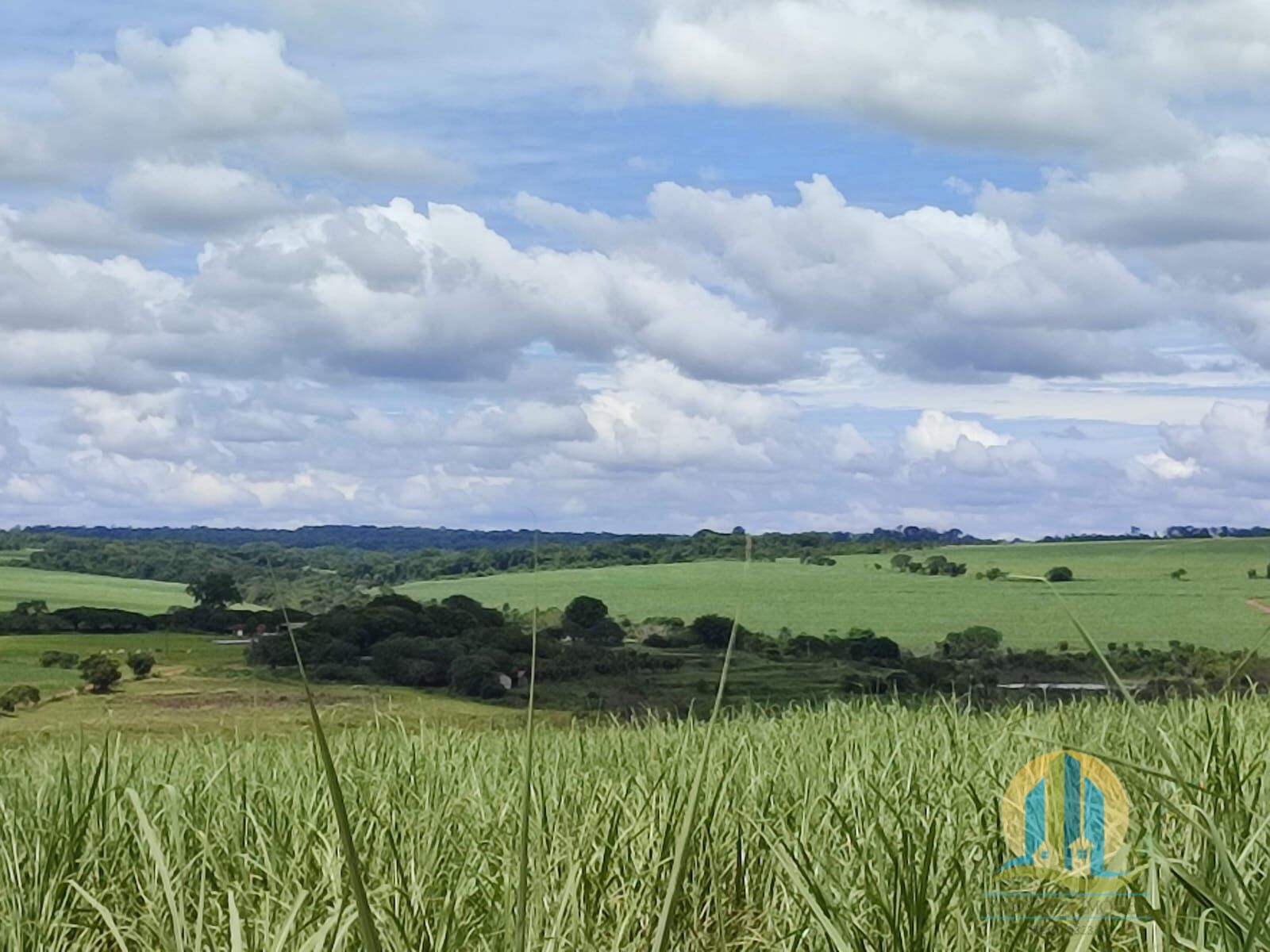 Somos o Maior Portal de Anúncios de Imóveis Rurais do Brasil. Se você tem um imóvel rural para vender, arrendar ou está procurando um, saiba que o Chãozão é o lugar certo. Porque de terra, a gente entende! Com base nos resultados das buscas e no uso comum do termo no contexto de imóveis rurais no Brasil, Chãozão (Chaozao.com.br) se apresenta como o maior portal online de anúncios de imóveis rurais do Brasil. Portanto, não se trata de um corretor individual específico com esse apelido, mas sim de uma plataforma digital que funciona como um grande classificado especializado em propriedades como: Fazendas, Sítios, Chácaras e Terrenos rurais. O que o Chãozão (portal) faz: 1. Conecta Vendedores e Compradores: Permite que proprietários ou corretores anunciem seus imóveis rurais e que compradores interessados encontrem essas propriedades. A negociação, segundo o portal, é feita diretamente entre as partes. 2. Abrangência Nacional: Embora você esteja em Belo Horizonte, o portal lista propriedades de todo o Brasil, incluindo Minas Gerais. 3. Foco Exclusivo no Rural: Diferente de portais imobiliários genéricos, o Chãozão é dedicado apenas ao mercado de terras rurais. 4. Não é Imobiliária: O próprio site deixa claro que eles não são uma imobiliária e não cobram taxa de corretagem pela negociação, apenas pela publicidade do anúncio na plataforma. Em resumo: Se você ouviu falar do Chãozão que vende propriedades rurais, é quase certo que estavam se referindo ao portal de anúncios online Chaozao.com.br. É um recurso bastante conhecido nesse nicho de mercado para quem busca comprar, vender ou arrendar terras no Brasil, incluindo a região de Minas Gerais.