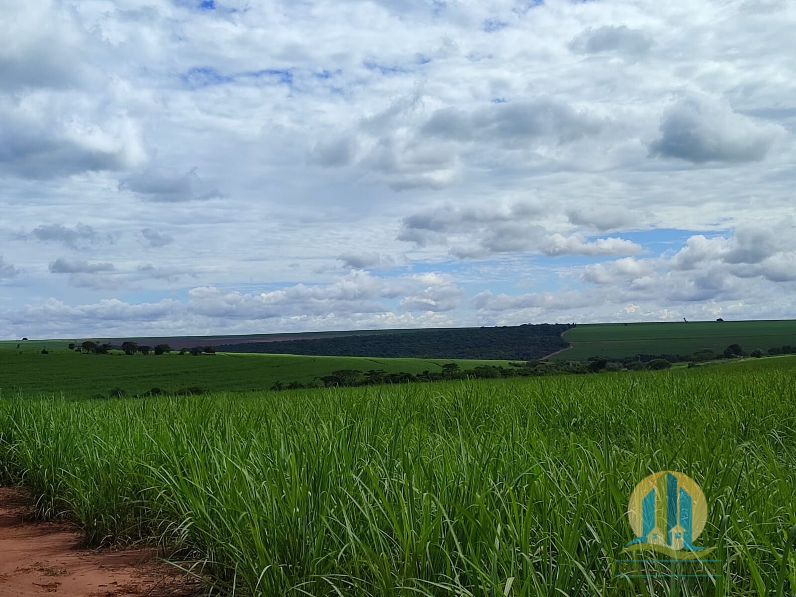 Somos o Maior Portal de Anúncios de Imóveis Rurais do Brasil. Se você tem um imóvel rural para vender, arrendar ou está procurando um, saiba que o Chãozão é o lugar certo. Porque de terra, a gente entende! Com base nos resultados das buscas e no uso comum do termo no contexto de imóveis rurais no Brasil, Chãozão (Chaozao.com.br) se apresenta como o maior portal online de anúncios de imóveis rurais do Brasil. Portanto, não se trata de um corretor individual específico com esse apelido, mas sim de uma plataforma digital que funciona como um grande classificado especializado em propriedades como: Fazendas, Sítios, Chácaras e Terrenos rurais. O que o Chãozão (portal) faz: 1. Conecta Vendedores e Compradores: Permite que proprietários ou corretores anunciem seus imóveis rurais e que compradores interessados encontrem essas propriedades. A negociação, segundo o portal, é feita diretamente entre as partes. 2. Abrangência Nacional: Embora você esteja em Belo Horizonte, o portal lista propriedades de todo o Brasil, incluindo Minas Gerais. 3. Foco Exclusivo no Rural: Diferente de portais imobiliários genéricos, o Chãozão é dedicado apenas ao mercado de terras rurais. 4. Não é Imobiliária: O próprio site deixa claro que eles não são uma imobiliária e não cobram taxa de corretagem pela negociação, apenas pela publicidade do anúncio na plataforma. Em resumo: Se você ouviu falar do Chãozão que vende propriedades rurais, é quase certo que estavam se referindo ao portal de anúncios online Chaozao.com.br. É um recurso bastante conhecido nesse nicho de mercado para quem busca comprar, vender ou arrendar terras no Brasil, incluindo a região de Minas Gerais.