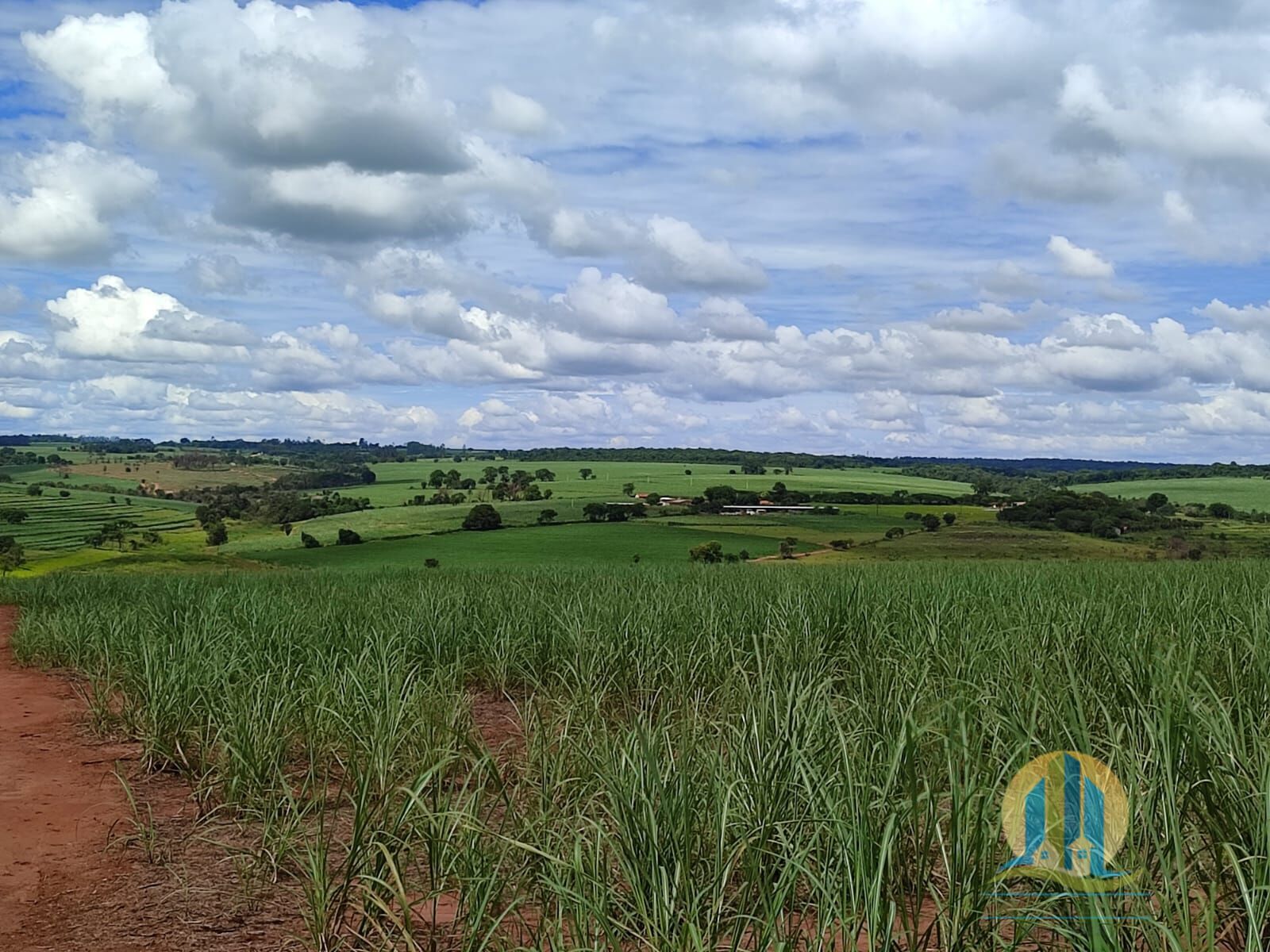 Somos o Maior Portal de Anúncios de Imóveis Rurais do Brasil. Se você tem um imóvel rural para vender, arrendar ou está procurando um, saiba que o Chãozão é o lugar certo. Porque de terra, a gente entende! Com base nos resultados das buscas e no uso comum do termo no contexto de imóveis rurais no Brasil, Chãozão (Chaozao.com.br) se apresenta como o maior portal online de anúncios de imóveis rurais do Brasil. Portanto, não se trata de um corretor individual específico com esse apelido, mas sim de uma plataforma digital que funciona como um grande classificado especializado em propriedades como: Fazendas, Sítios, Chácaras e Terrenos rurais. O que o Chãozão (portal) faz: 1. Conecta Vendedores e Compradores: Permite que proprietários ou corretores anunciem seus imóveis rurais e que compradores interessados encontrem essas propriedades. A negociação, segundo o portal, é feita diretamente entre as partes. 2. Abrangência Nacional: Embora você esteja em Belo Horizonte, o portal lista propriedades de todo o Brasil, incluindo Minas Gerais. 3. Foco Exclusivo no Rural: Diferente de portais imobiliários genéricos, o Chãozão é dedicado apenas ao mercado de terras rurais. 4. Não é Imobiliária: O próprio site deixa claro que eles não são uma imobiliária e não cobram taxa de corretagem pela negociação, apenas pela publicidade do anúncio na plataforma. Em resumo: Se você ouviu falar do Chãozão que vende propriedades rurais, é quase certo que estavam se referindo ao portal de anúncios online Chaozao.com.br. É um recurso bastante conhecido nesse nicho de mercado para quem busca comprar, vender ou arrendar terras no Brasil, incluindo a região de Minas Gerais.