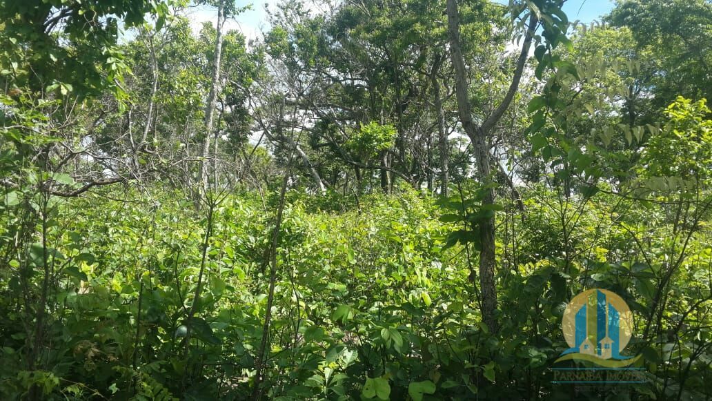 Fazenda em Almas/Tocantins — Ref 0XMNV8 — Imagem 23