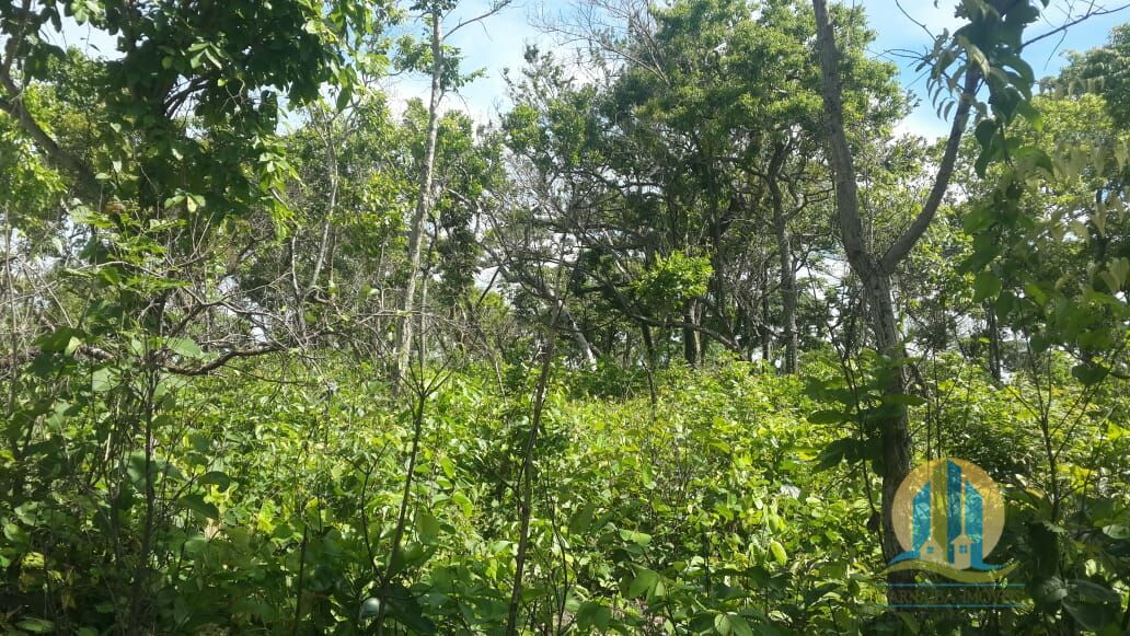 Fazenda em Almas/Tocantins — Ref 0XMNV8 — Imagem 25