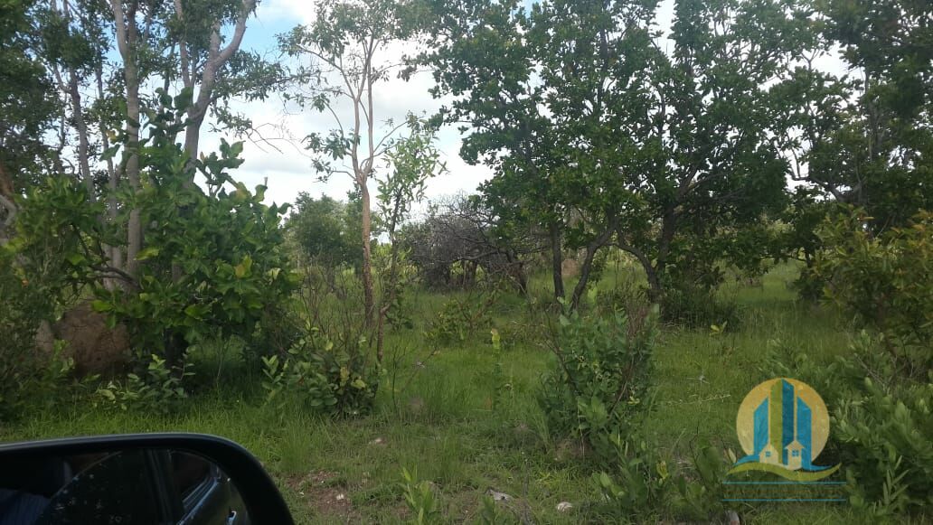 Fazenda em Almas/Tocantins — Ref 0XMNV8 — Imagem 16