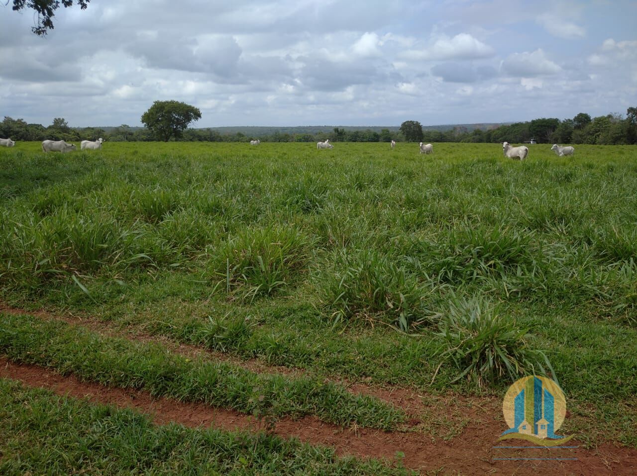 Fazenda em Guaraí/Tocantins — Ref 0ZKGOH — Imagem 2