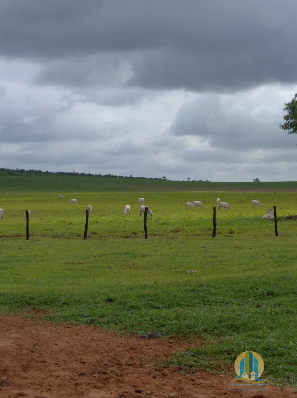 Fazenda em Guaraí/Tocantins — Ref 0ZKGOH — Imagem 1