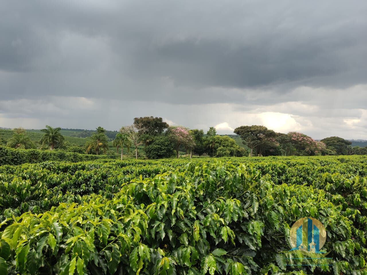 Fazenda em São Sebastião/São Paulo — Ref L6KVNR — Imagem 5