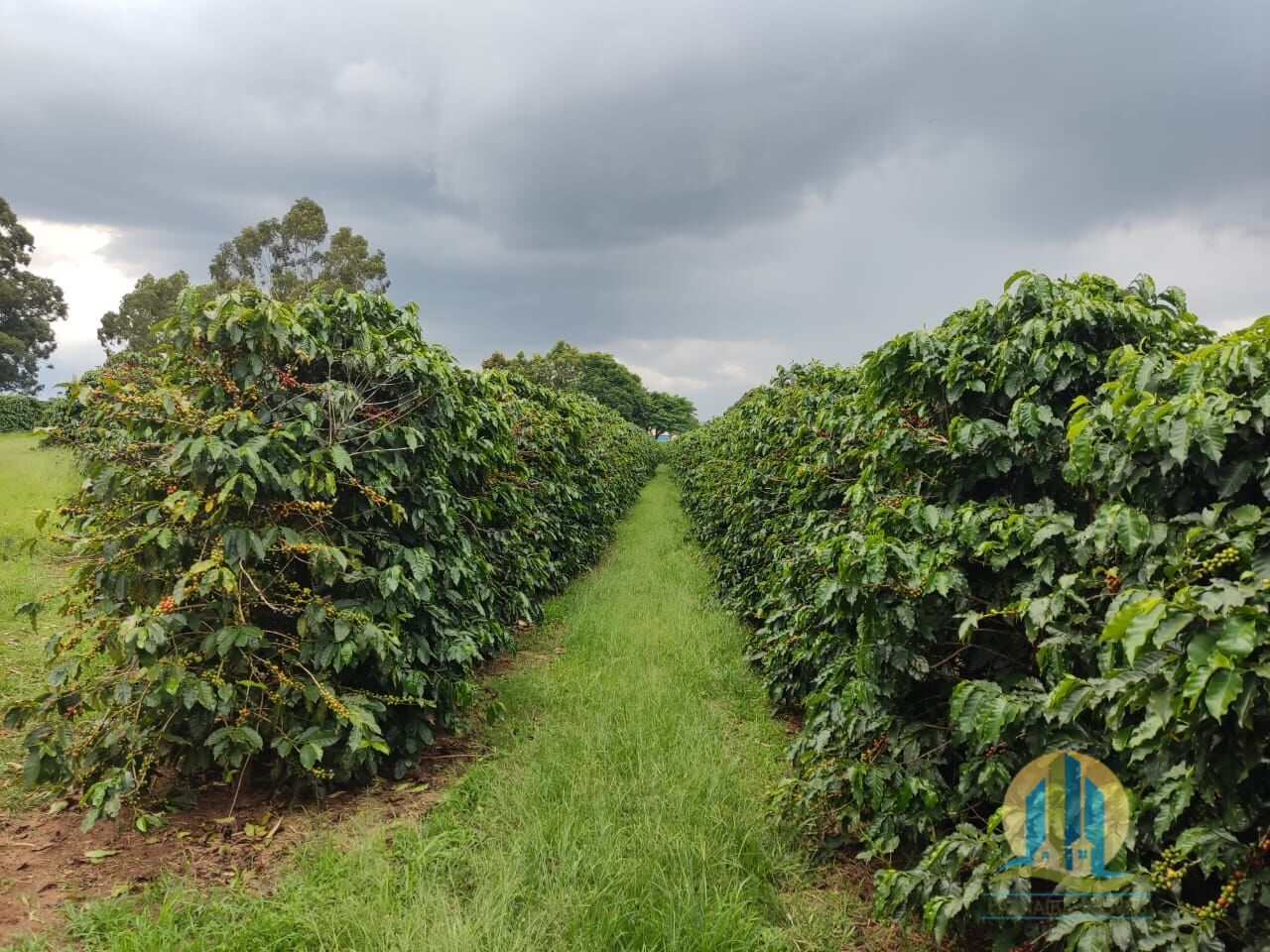 Fazenda em São Sebastião/São Paulo — Ref L6KVNR — Imagem 1