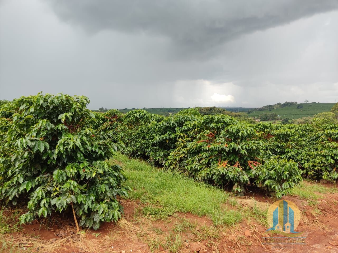 Fazenda em São Sebastião/São Paulo — Ref L6KVNR — Imagem 2