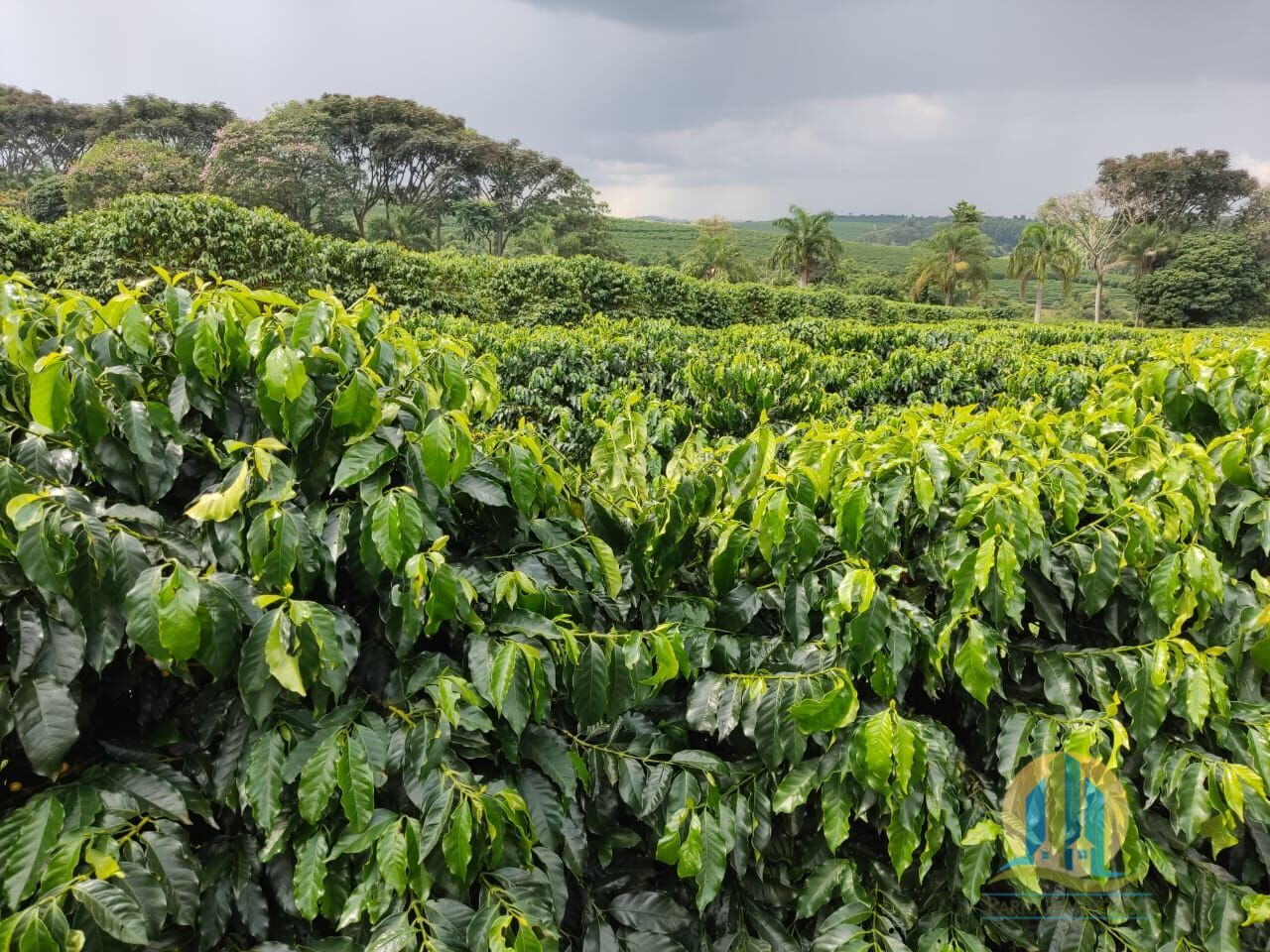 Fazenda em São Sebastião/São Paulo — Ref L6KVNR — Imagem 3