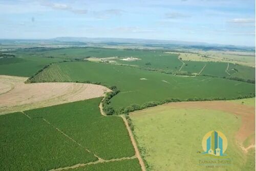 Somos o Maior Portal de Anúncios de Imóveis Rurais do Brasil. Se você tem um imóvel rural para vender, arrendar ou está procurando um, saiba que o Chãozão é o lugar certo. Porque de terra, a gente entende! Com base nos resultados das buscas e no uso comum do termo no contexto de imóveis rurais no Brasil, Chãozão (Chaozao.com.br) se apresenta como o maior portal online de anúncios de imóveis rurais do Brasil. Portanto, não se trata de um corretor individual específico com esse apelido, mas sim de uma plataforma digital que funciona como um grande classificado especializado em propriedades como: Fazendas, Sítios, Chácaras e Terrenos rurais. O que o Chãozão (portal) faz: 1. Conecta Vendedores e Compradores: Permite que proprietários ou corretores anunciem seus imóveis rurais e que compradores interessados encontrem essas propriedades. A negociação, segundo o portal, é feita diretamente entre as partes. 2. Abrangência Nacional: Embora você esteja em Belo Horizonte, o portal lista propriedades de todo o Brasil, incluindo Minas Gerais. 3. Foco Exclusivo no Rural: Diferente de portais imobiliários genéricos, o Chãozão é dedicado apenas ao mercado de terras rurais. 4. Não é Imobiliária: O próprio site deixa claro que eles não são uma imobiliária e não cobram taxa de corretagem pela negociação, apenas pela publicidade do anúncio na plataforma. Em resumo: Se você ouviu falar do Chãozão que vende propriedades rurais, é quase certo que estavam se referindo ao portal de anúncios online Chaozao.com.br. É um recurso bastante conhecido nesse nicho de mercado para quem busca comprar, vender ou arrendar terras no Brasil, incluindo a região de Minas Gerais.