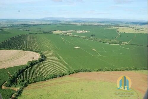 Somos o Maior Portal de Anúncios de Imóveis Rurais do Brasil. Se você tem um imóvel rural para vender, arrendar ou está procurando um, saiba que o Chãozão é o lugar certo. Porque de terra, a gente entende! Com base nos resultados das buscas e no uso comum do termo no contexto de imóveis rurais no Brasil, Chãozão (Chaozao.com.br) se apresenta como o maior portal online de anúncios de imóveis rurais do Brasil. Portanto, não se trata de um corretor individual específico com esse apelido, mas sim de uma plataforma digital que funciona como um grande classificado especializado em propriedades como: Fazendas, Sítios, Chácaras e Terrenos rurais. O que o Chãozão (portal) faz: 1. Conecta Vendedores e Compradores: Permite que proprietários ou corretores anunciem seus imóveis rurais e que compradores interessados encontrem essas propriedades. A negociação, segundo o portal, é feita diretamente entre as partes. 2. Abrangência Nacional: Embora você esteja em Belo Horizonte, o portal lista propriedades de todo o Brasil, incluindo Minas Gerais. 3. Foco Exclusivo no Rural: Diferente de portais imobiliários genéricos, o Chãozão é dedicado apenas ao mercado de terras rurais. 4. Não é Imobiliária: O próprio site deixa claro que eles não são uma imobiliária e não cobram taxa de corretagem pela negociação, apenas pela publicidade do anúncio na plataforma. Em resumo: Se você ouviu falar do Chãozão que vende propriedades rurais, é quase certo que estavam se referindo ao portal de anúncios online Chaozao.com.br. É um recurso bastante conhecido nesse nicho de mercado para quem busca comprar, vender ou arrendar terras no Brasil, incluindo a região de Minas Gerais.