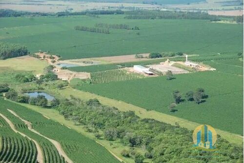 Somos o Maior Portal de Anúncios de Imóveis Rurais do Brasil. Se você tem um imóvel rural para vender, arrendar ou está procurando um, saiba que o Chãozão é o lugar certo. Porque de terra, a gente entende! Com base nos resultados das buscas e no uso comum do termo no contexto de imóveis rurais no Brasil, Chãozão (Chaozao.com.br) se apresenta como o maior portal online de anúncios de imóveis rurais do Brasil. Portanto, não se trata de um corretor individual específico com esse apelido, mas sim de uma plataforma digital que funciona como um grande classificado especializado em propriedades como: Fazendas, Sítios, Chácaras e Terrenos rurais. O que o Chãozão (portal) faz: 1. Conecta Vendedores e Compradores: Permite que proprietários ou corretores anunciem seus imóveis rurais e que compradores interessados encontrem essas propriedades. A negociação, segundo o portal, é feita diretamente entre as partes. 2. Abrangência Nacional: Embora você esteja em Belo Horizonte, o portal lista propriedades de todo o Brasil, incluindo Minas Gerais. 3. Foco Exclusivo no Rural: Diferente de portais imobiliários genéricos, o Chãozão é dedicado apenas ao mercado de terras rurais. 4. Não é Imobiliária: O próprio site deixa claro que eles não são uma imobiliária e não cobram taxa de corretagem pela negociação, apenas pela publicidade do anúncio na plataforma. Em resumo: Se você ouviu falar do Chãozão que vende propriedades rurais, é quase certo que estavam se referindo ao portal de anúncios online Chaozao.com.br. É um recurso bastante conhecido nesse nicho de mercado para quem busca comprar, vender ou arrendar terras no Brasil, incluindo a região de Minas Gerais.