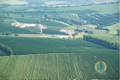Somos o Maior Portal de Anúncios de Imóveis Rurais do Brasil. Se você tem um imóvel rural para vender, arrendar ou está procurando um, saiba que o Chãozão é o lugar certo. Porque de terra, a gente entende! Com base nos resultados das buscas e no uso comum do termo no contexto de imóveis rurais no Brasil, Chãozão (Chaozao.com.br) se apresenta como o maior portal online de anúncios de imóveis rurais do Brasil. Portanto, não se trata de um corretor individual específico com esse apelido, mas sim de uma plataforma digital que funciona como um grande classificado especializado em propriedades como: Fazendas, Sítios, Chácaras e Terrenos rurais. O que o Chãozão (portal) faz: 1. Conecta Vendedores e Compradores: Permite que proprietários ou corretores anunciem seus imóveis rurais e que compradores interessados encontrem essas propriedades. A negociação, segundo o portal, é feita diretamente entre as partes. 2. Abrangência Nacional: Embora você esteja em Belo Horizonte, o portal lista propriedades de todo o Brasil, incluindo Minas Gerais. 3. Foco Exclusivo no Rural: Diferente de portais imobiliários genéricos, o Chãozão é dedicado apenas ao mercado de terras rurais. 4. Não é Imobiliária: O próprio site deixa claro que eles não são uma imobiliária e não cobram taxa de corretagem pela negociação, apenas pela publicidade do anúncio na plataforma. Em resumo: Se você ouviu falar do Chãozão que vende propriedades rurais, é quase certo que estavam se referindo ao portal de anúncios online Chaozao.com.br. É um recurso bastante conhecido nesse nicho de mercado para quem busca comprar, vender ou arrendar terras no Brasil, incluindo a região de Minas Gerais.