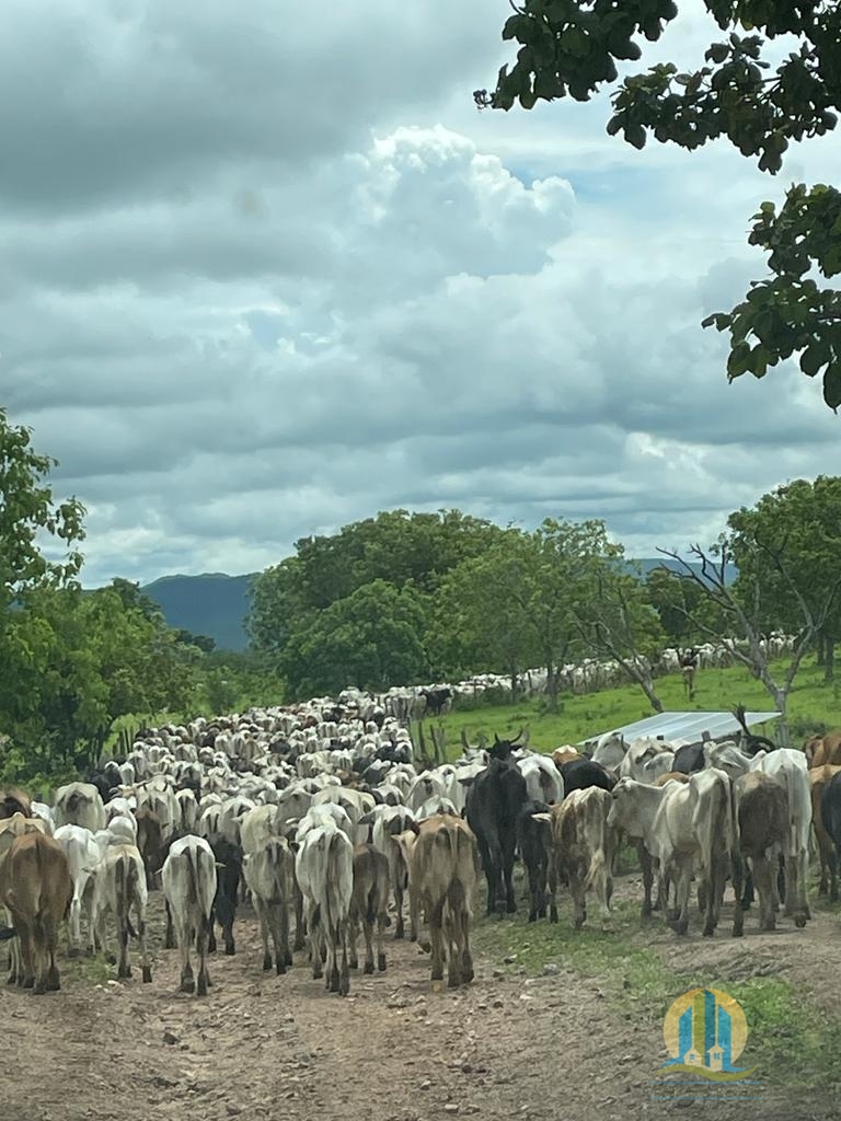 foto do anuncio