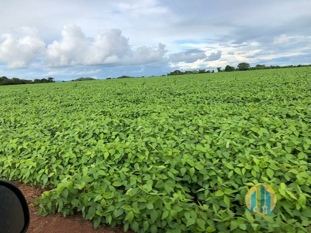 Fazenda em Confresa/Mato Grosso — Ref 0HJNHV — Imagem 10