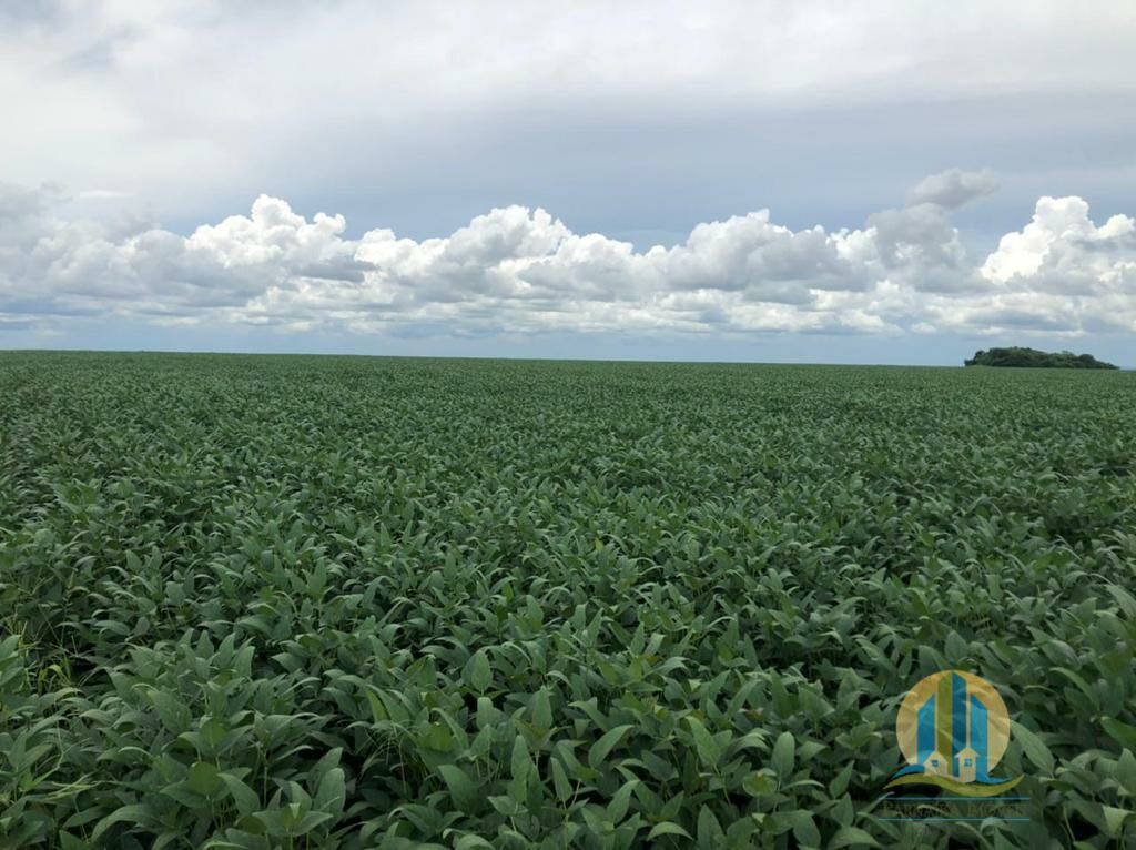 Fazenda em Confresa/Mato Grosso — Ref 0HJNHV — Imagem 16