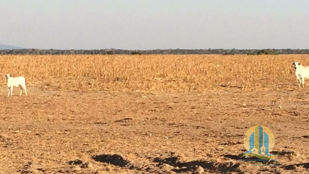 Fazenda em Confresa/Mato Grosso — Ref 0HJNHV — Imagem 13