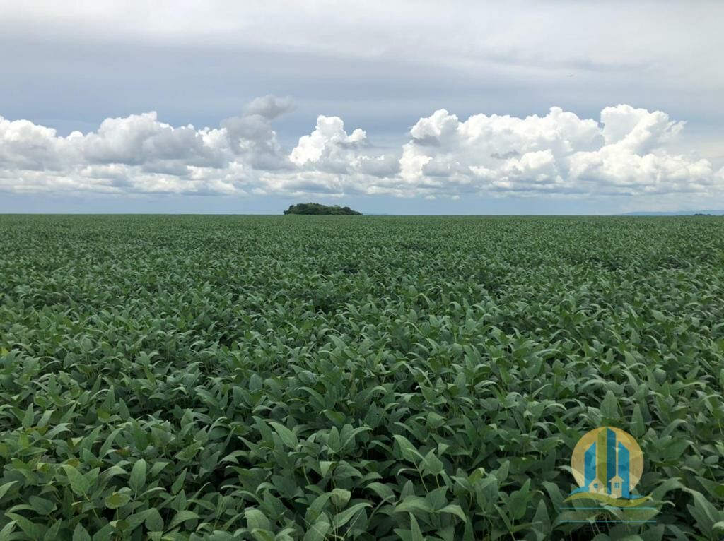 Fazenda em Confresa/Mato Grosso — Ref 0HJNHV — Imagem 15