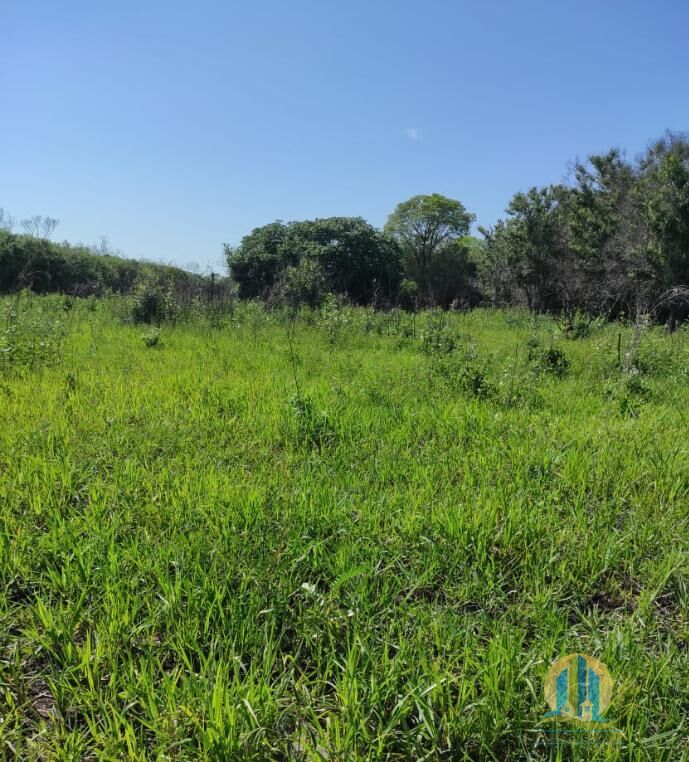 Fazenda em Corumbá/Mato Grosso do Sul — Ref 574FV9 — Imagem 6
