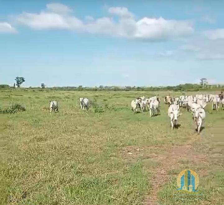 Fazenda em Corumbá/Mato Grosso do Sul — Ref 574FV9 — Imagem 1