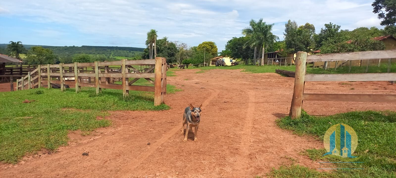 foto do anuncio