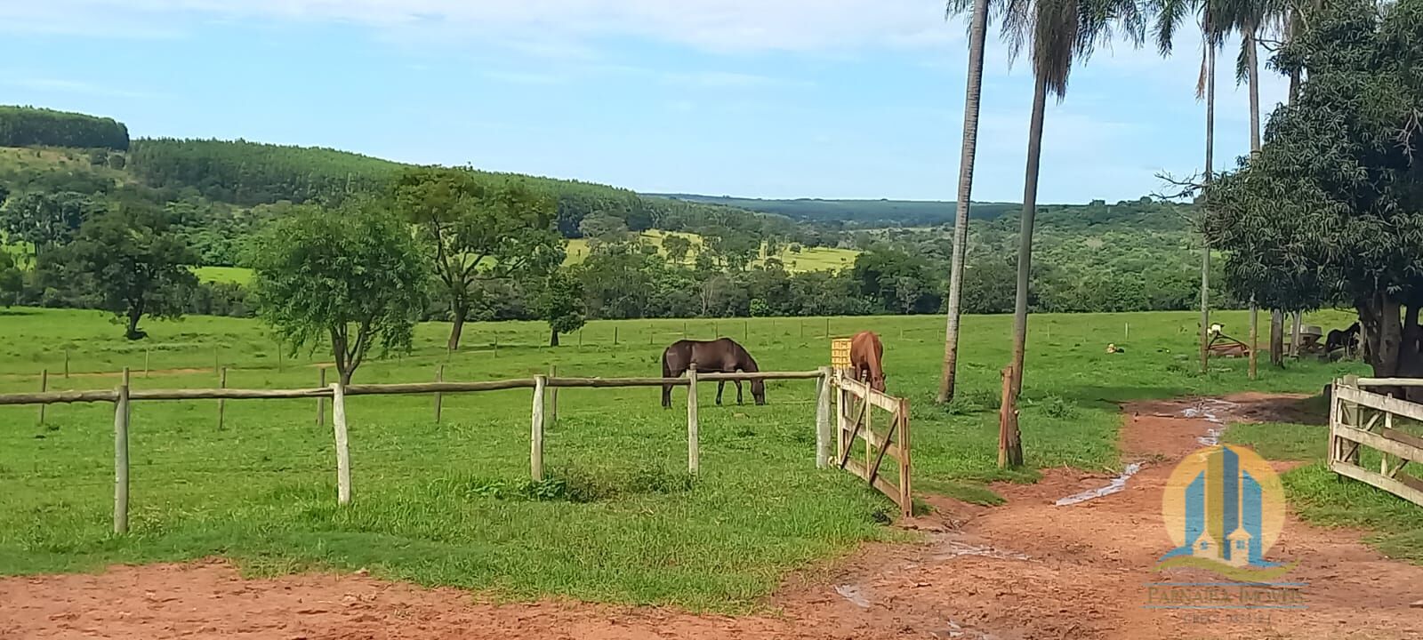 foto do anuncio