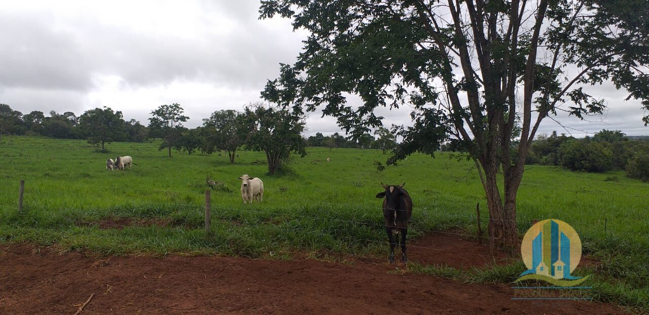 foto do anuncio