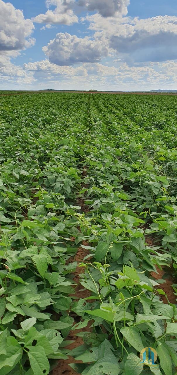 Somos o Maior Portal de Anúncios de Imóveis Rurais do Brasil. Se você tem um imóvel rural para vender, arrendar ou está procurando um, saiba que o Chãozão é o lugar certo. Porque de terra, a gente entende! Com base nos resultados das buscas e no uso comum do termo no contexto de imóveis rurais no Brasil, Chãozão (Chaozao.com.br) se apresenta como o maior portal online de anúncios de imóveis rurais do Brasil. Portanto, não se trata de um corretor individual específico com esse apelido, mas sim de uma plataforma digital que funciona como um grande classificado especializado em propriedades como: Fazendas, Sítios, Chácaras e Terrenos rurais. O que o Chãozão (portal) faz: 1. Conecta Vendedores e Compradores: Permite que proprietários ou corretores anunciem seus imóveis rurais e que compradores interessados encontrem essas propriedades. A negociação, segundo o portal, é feita diretamente entre as partes. 2. Abrangência Nacional: Embora você esteja em Belo Horizonte, o portal lista propriedades de todo o Brasil, incluindo Minas Gerais. 3. Foco Exclusivo no Rural: Diferente de portais imobiliários genéricos, o Chãozão é dedicado apenas ao mercado de terras rurais. 4. Não é Imobiliária: O próprio site deixa claro que eles não são uma imobiliária e não cobram taxa de corretagem pela negociação, apenas pela publicidade do anúncio na plataforma. Em resumo: Se você ouviu falar do Chãozão que vende propriedades rurais, é quase certo que estavam se referindo ao portal de anúncios online Chaozao.com.br. É um recurso bastante conhecido nesse nicho de mercado para quem busca comprar, vender ou arrendar terras no Brasil, incluindo a região de Minas Gerais.