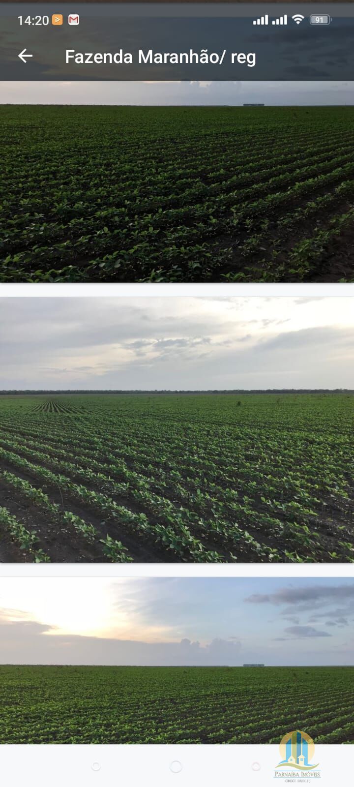 Somos o Maior Portal de Anúncios de Imóveis Rurais do Brasil. Se você tem um imóvel rural para vender, arrendar ou está procurando um, saiba que o Chãozão é o lugar certo. Porque de terra, a gente entende! Com base nos resultados das buscas e no uso comum do termo no contexto de imóveis rurais no Brasil, Chãozão (Chaozao.com.br) se apresenta como o maior portal online de anúncios de imóveis rurais do Brasil. Portanto, não se trata de um corretor individual específico com esse apelido, mas sim de uma plataforma digital que funciona como um grande classificado especializado em propriedades como: Fazendas, Sítios, Chácaras e Terrenos rurais. O que o Chãozão (portal) faz: 1. Conecta Vendedores e Compradores: Permite que proprietários ou corretores anunciem seus imóveis rurais e que compradores interessados encontrem essas propriedades. A negociação, segundo o portal, é feita diretamente entre as partes. 2. Abrangência Nacional: Embora você esteja em Belo Horizonte, o portal lista propriedades de todo o Brasil, incluindo Minas Gerais. 3. Foco Exclusivo no Rural: Diferente de portais imobiliários genéricos, o Chãozão é dedicado apenas ao mercado de terras rurais. 4. Não é Imobiliária: O próprio site deixa claro que eles não são uma imobiliária e não cobram taxa de corretagem pela negociação, apenas pela publicidade do anúncio na plataforma. Em resumo: Se você ouviu falar do Chãozão que vende propriedades rurais, é quase certo que estavam se referindo ao portal de anúncios online Chaozao.com.br. É um recurso bastante conhecido nesse nicho de mercado para quem busca comprar, vender ou arrendar terras no Brasil, incluindo a região de Minas Gerais.