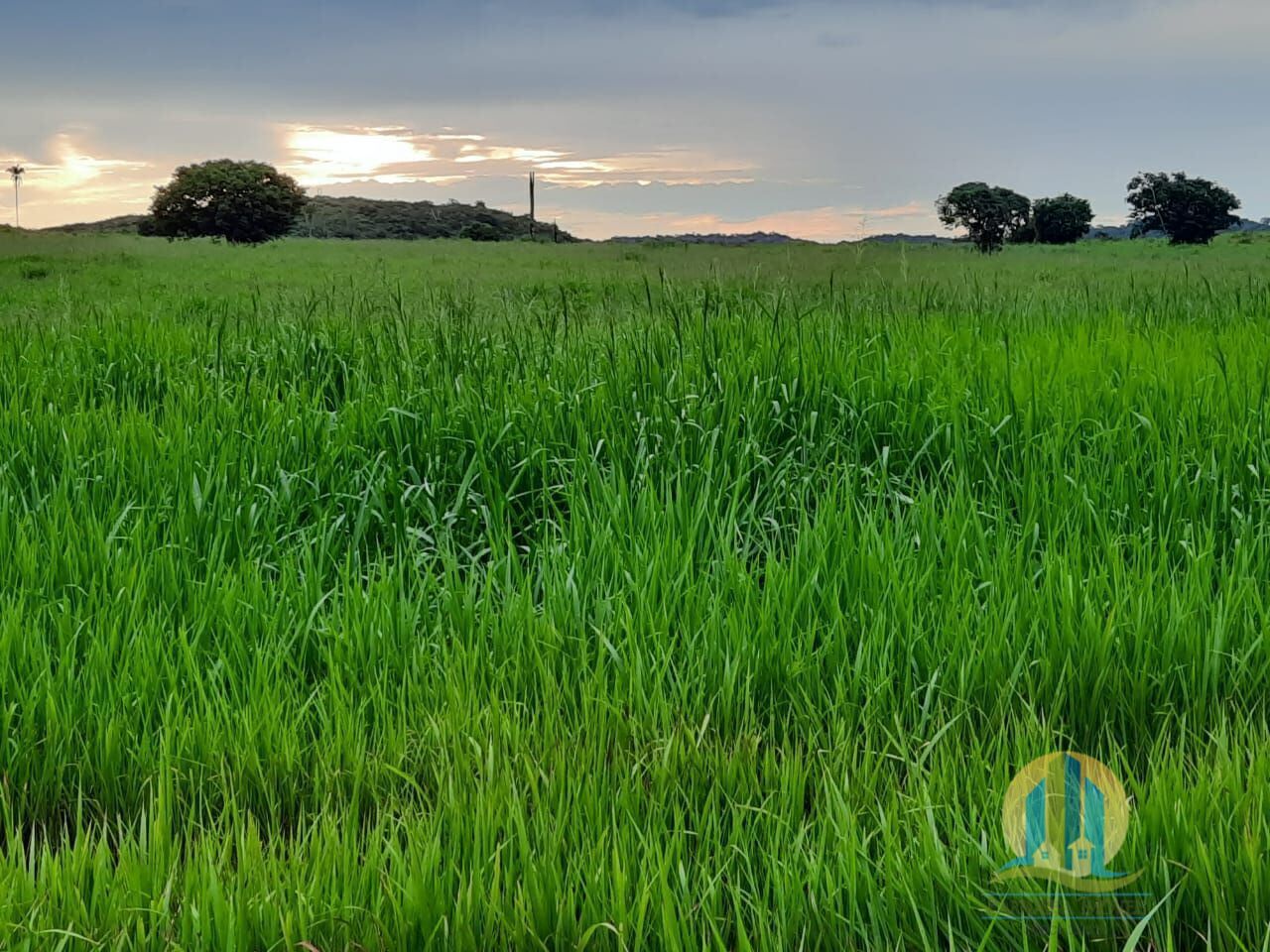 Somos o Maior Portal de Anúncios de Imóveis Rurais do Brasil. Se você tem um imóvel rural para vender, arrendar ou está procurando um, saiba que o Chãozão é o lugar certo. Porque de terra, a gente entende! Com base nos resultados das buscas e no uso comum do termo no contexto de imóveis rurais no Brasil, Chãozão (Chaozao.com.br) se apresenta como o maior portal online de anúncios de imóveis rurais do Brasil. Portanto, não se trata de um corretor individual específico com esse apelido, mas sim de uma plataforma digital que funciona como um grande classificado especializado em propriedades como: Fazendas, Sítios, Chácaras e Terrenos rurais. O que o Chãozão (portal) faz: 1. Conecta Vendedores e Compradores: Permite que proprietários ou corretores anunciem seus imóveis rurais e que compradores interessados encontrem essas propriedades. A negociação, segundo o portal, é feita diretamente entre as partes. 2. Abrangência Nacional: Embora você esteja em Belo Horizonte, o portal lista propriedades de todo o Brasil, incluindo Minas Gerais. 3. Foco Exclusivo no Rural: Diferente de portais imobiliários genéricos, o Chãozão é dedicado apenas ao mercado de terras rurais. 4. Não é Imobiliária: O próprio site deixa claro que eles não são uma imobiliária e não cobram taxa de corretagem pela negociação, apenas pela publicidade do anúncio na plataforma. Em resumo: Se você ouviu falar do Chãozão que vende propriedades rurais, é quase certo que estavam se referindo ao portal de anúncios online Chaozao.com.br. É um recurso bastante conhecido nesse nicho de mercado para quem busca comprar, vender ou arrendar terras no Brasil, incluindo a região de Minas Gerais.