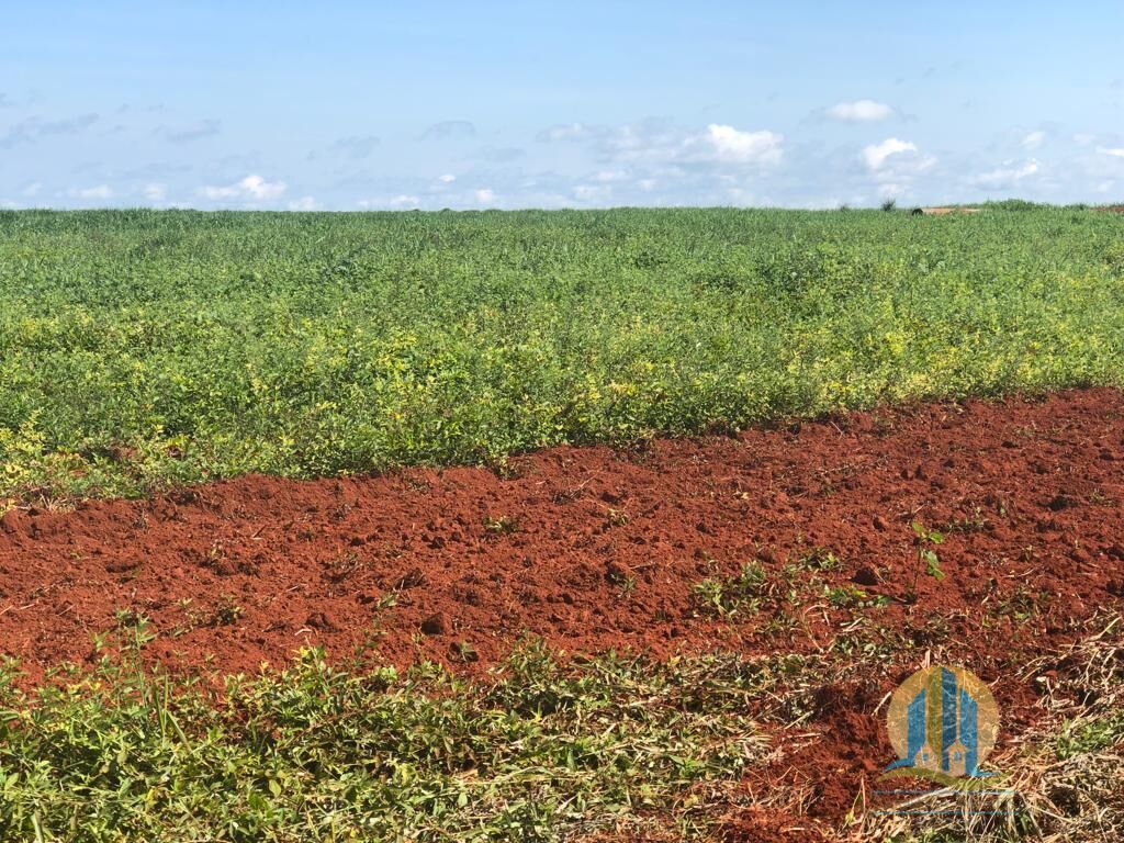 Somos o Maior Portal de Anúncios de Imóveis Rurais do Brasil. Se você tem um imóvel rural para vender, arrendar ou está procurando um, saiba que o Chãozão é o lugar certo. Porque de terra, a gente entende! Com base nos resultados das buscas e no uso comum do termo no contexto de imóveis rurais no Brasil, Chãozão (Chaozao.com.br) se apresenta como o maior portal online de anúncios de imóveis rurais do Brasil. Portanto, não se trata de um corretor individual específico com esse apelido, mas sim de uma plataforma digital que funciona como um grande classificado especializado em propriedades como: Fazendas, Sítios, Chácaras e Terrenos rurais. O que o Chãozão (portal) faz: 1. Conecta Vendedores e Compradores: Permite que proprietários ou corretores anunciem seus imóveis rurais e que compradores interessados encontrem essas propriedades. A negociação, segundo o portal, é feita diretamente entre as partes. 2. Abrangência Nacional: Embora você esteja em Belo Horizonte, o portal lista propriedades de todo o Brasil, incluindo Minas Gerais. 3. Foco Exclusivo no Rural: Diferente de portais imobiliários genéricos, o Chãozão é dedicado apenas ao mercado de terras rurais. 4. Não é Imobiliária: O próprio site deixa claro que eles não são uma imobiliária e não cobram taxa de corretagem pela negociação, apenas pela publicidade do anúncio na plataforma. Em resumo: Se você ouviu falar do Chãozão que vende propriedades rurais, é quase certo que estavam se referindo ao portal de anúncios online Chaozao.com.br. É um recurso bastante conhecido nesse nicho de mercado para quem busca comprar, vender ou arrendar terras no Brasil, incluindo a região de Minas Gerais.
