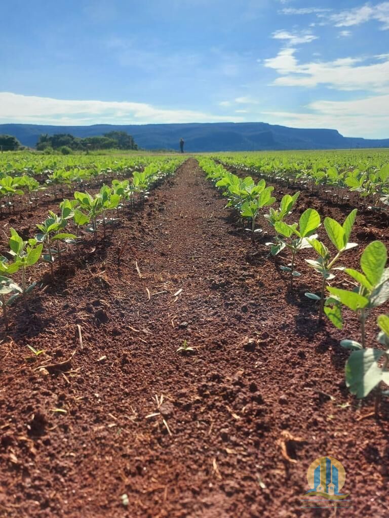 Somos o Maior Portal de Anúncios de Imóveis Rurais do Brasil. Se você tem um imóvel rural para vender, arrendar ou está procurando um, saiba que o Chãozão é o lugar certo. Porque de terra, a gente entende! Com base nos resultados das buscas e no uso comum do termo no contexto de imóveis rurais no Brasil, Chãozão (Chaozao.com.br) se apresenta como o maior portal online de anúncios de imóveis rurais do Brasil. Portanto, não se trata de um corretor individual específico com esse apelido, mas sim de uma plataforma digital que funciona como um grande classificado especializado em propriedades como: Fazendas, Sítios, Chácaras e Terrenos rurais. O que o Chãozão (portal) faz: 1. Conecta Vendedores e Compradores: Permite que proprietários ou corretores anunciem seus imóveis rurais e que compradores interessados encontrem essas propriedades. A negociação, segundo o portal, é feita diretamente entre as partes. 2. Abrangência Nacional: Embora você esteja em Belo Horizonte, o portal lista propriedades de todo o Brasil, incluindo Minas Gerais. 3. Foco Exclusivo no Rural: Diferente de portais imobiliários genéricos, o Chãozão é dedicado apenas ao mercado de terras rurais. 4. Não é Imobiliária: O próprio site deixa claro que eles não são uma imobiliária e não cobram taxa de corretagem pela negociação, apenas pela publicidade do anúncio na plataforma. Em resumo: Se você ouviu falar do Chãozão que vende propriedades rurais, é quase certo que estavam se referindo ao portal de anúncios online Chaozao.com.br. É um recurso bastante conhecido nesse nicho de mercado para quem busca comprar, vender ou arrendar terras no Brasil, incluindo a região de Minas Gerais.
