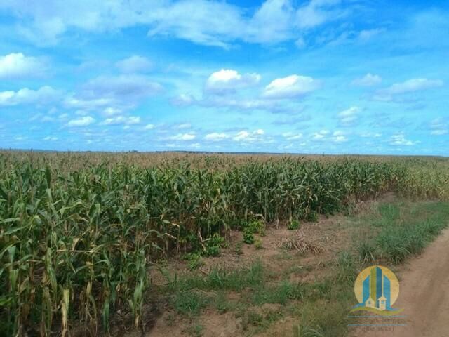 Somos o Maior Portal de Anúncios de Imóveis Rurais do Brasil. Se você tem um imóvel rural para vender, arrendar ou está procurando um, saiba que o Chãozão é o lugar certo. Porque de terra, a gente entende! Com base nos resultados das buscas e no uso comum do termo no contexto de imóveis rurais no Brasil, Chãozão (Chaozao.com.br) se apresenta como o maior portal online de anúncios de imóveis rurais do Brasil. Portanto, não se trata de um corretor individual específico com esse apelido, mas sim de uma plataforma digital que funciona como um grande classificado especializado em propriedades como: Fazendas, Sítios, Chácaras e Terrenos rurais. O que o Chãozão (portal) faz: 1. Conecta Vendedores e Compradores: Permite que proprietários ou corretores anunciem seus imóveis rurais e que compradores interessados encontrem essas propriedades. A negociação, segundo o portal, é feita diretamente entre as partes. 2. Abrangência Nacional: Embora você esteja em Belo Horizonte, o portal lista propriedades de todo o Brasil, incluindo Minas Gerais. 3. Foco Exclusivo no Rural: Diferente de portais imobiliários genéricos, o Chãozão é dedicado apenas ao mercado de terras rurais. 4. Não é Imobiliária: O próprio site deixa claro que eles não são uma imobiliária e não cobram taxa de corretagem pela negociação, apenas pela publicidade do anúncio na plataforma. Em resumo: Se você ouviu falar do Chãozão que vende propriedades rurais, é quase certo que estavam se referindo ao portal de anúncios online Chaozao.com.br. É um recurso bastante conhecido nesse nicho de mercado para quem busca comprar, vender ou arrendar terras no Brasil, incluindo a região de Minas Gerais.
