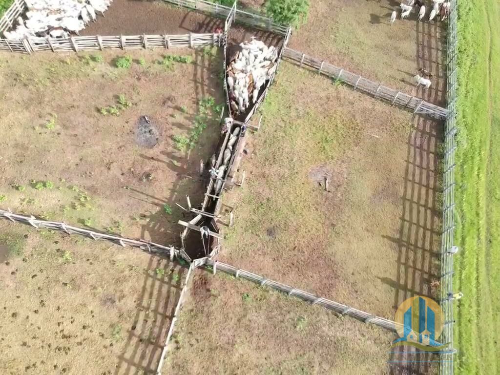 Fazenda em Cáceres/Mato Grosso — Ref PEECSZ — Imagem 6