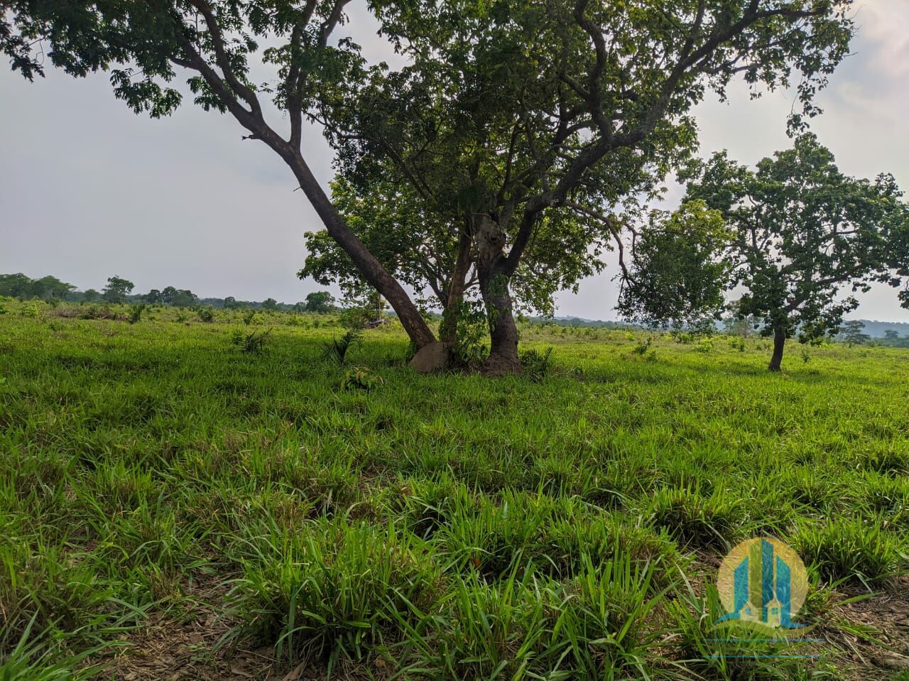 Fazenda em Itacajá/Tocantins — Ref IXI0HO — Imagem 5