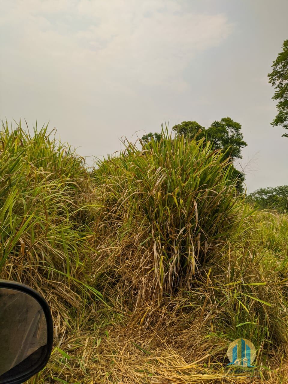 Fazenda em Itacajá/Tocantins — Ref IXI0HO — Imagem 16