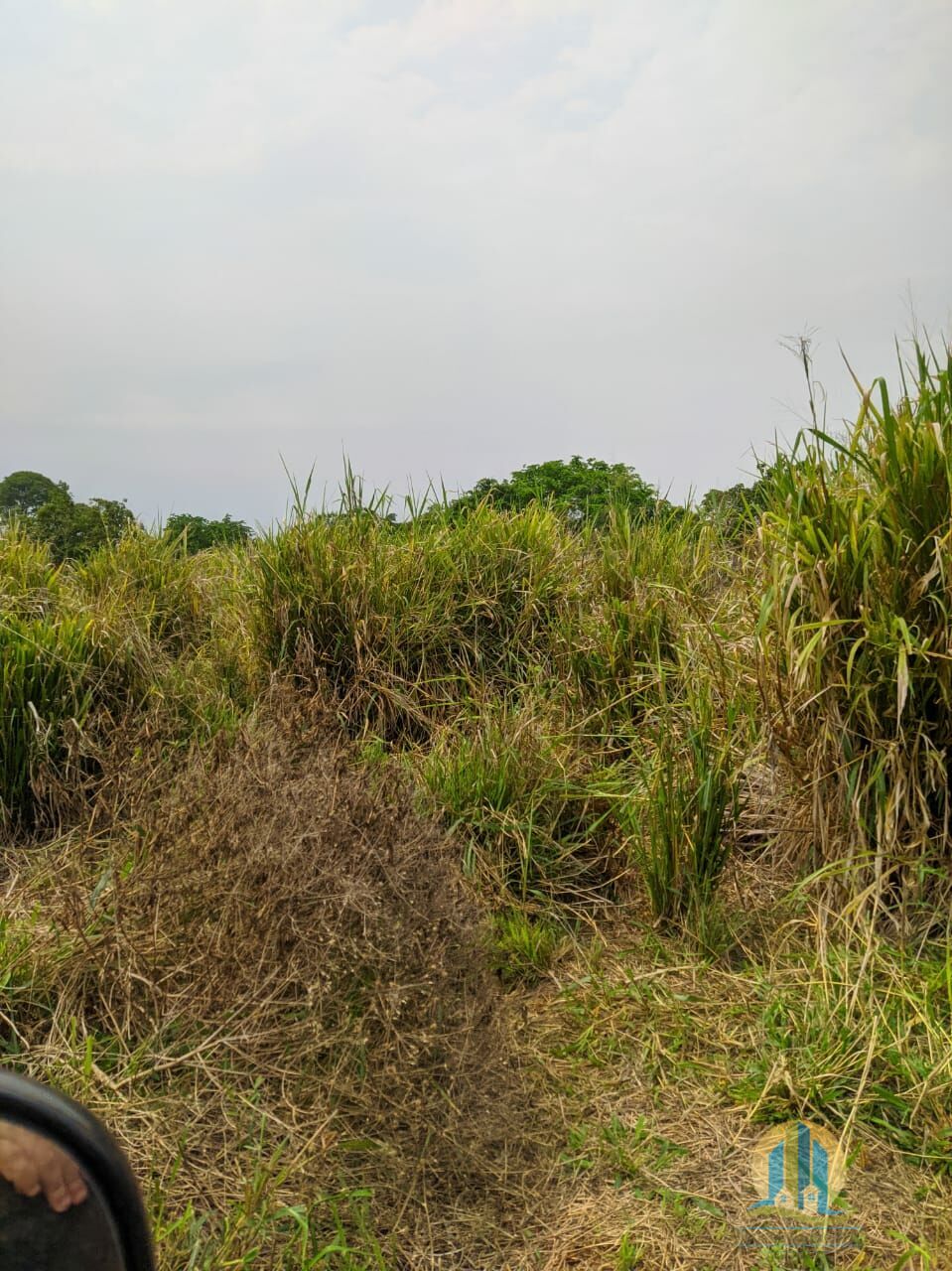 Fazenda em Itacajá/Tocantins — Ref IXI0HO — Imagem 15
