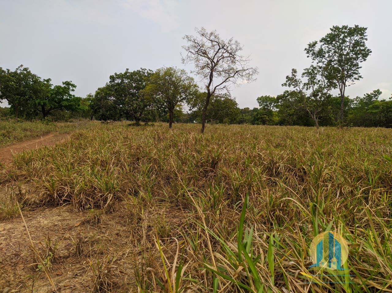 Fazenda em Itacajá/Tocantins — Ref IXI0HO — Imagem 9