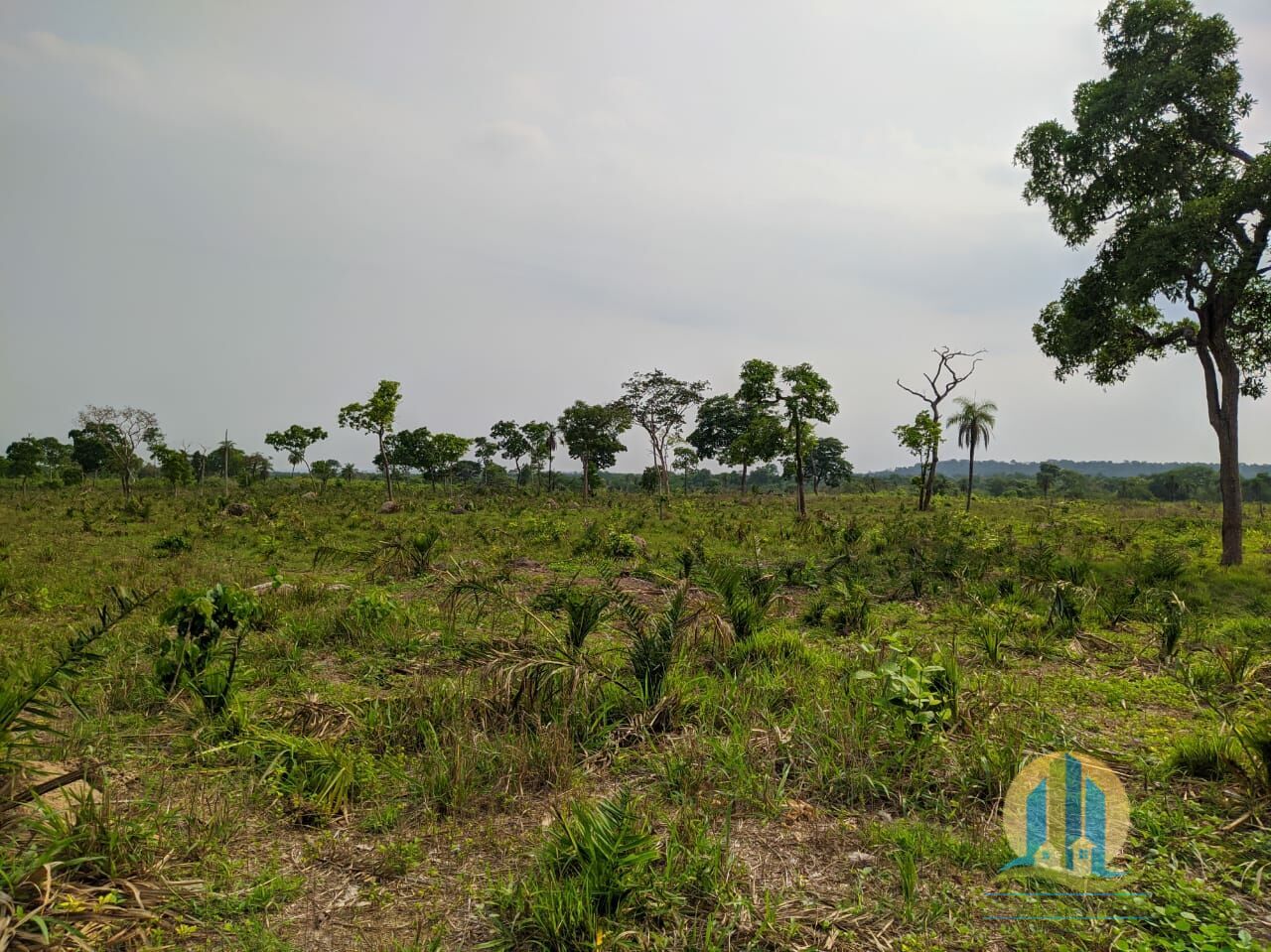 Fazenda em Itacajá/Tocantins — Ref IXI0HO — Imagem 11
