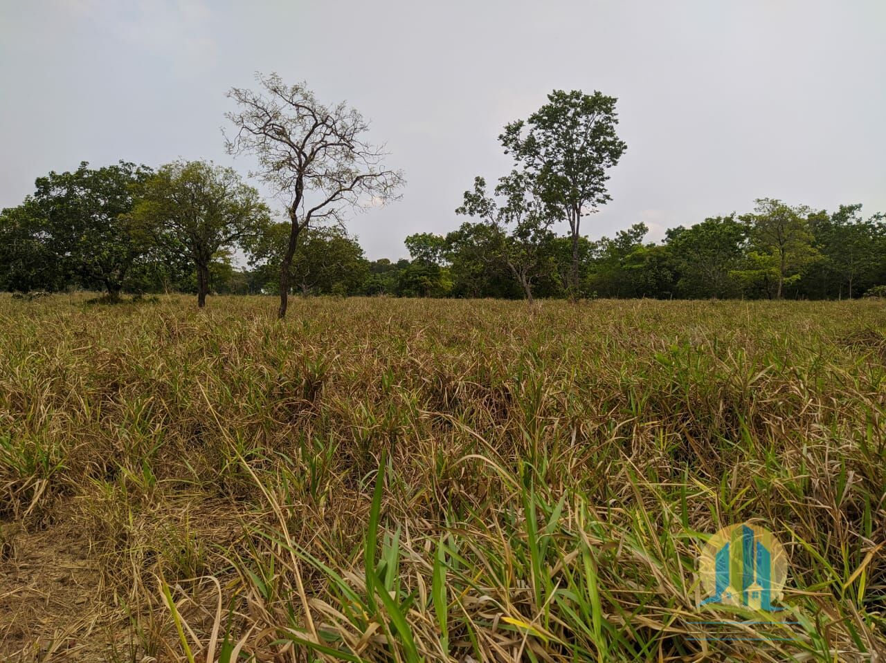 Fazenda em Itacajá/Tocantins — Ref IXI0HO — Imagem 10